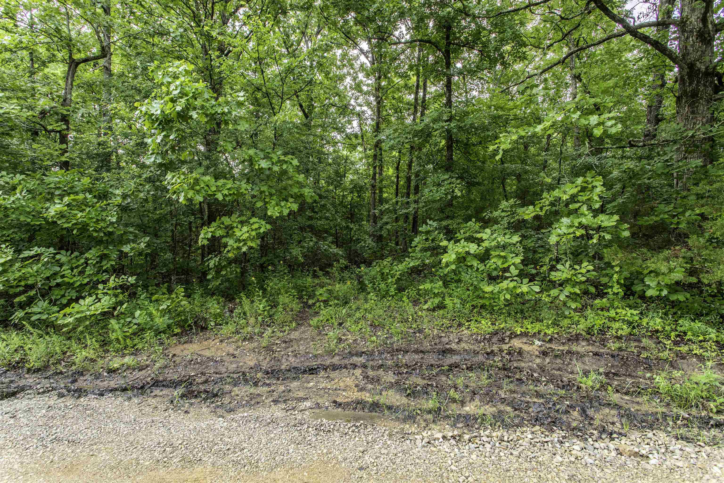 MCFADDEN ADNN BLUFFS - Land