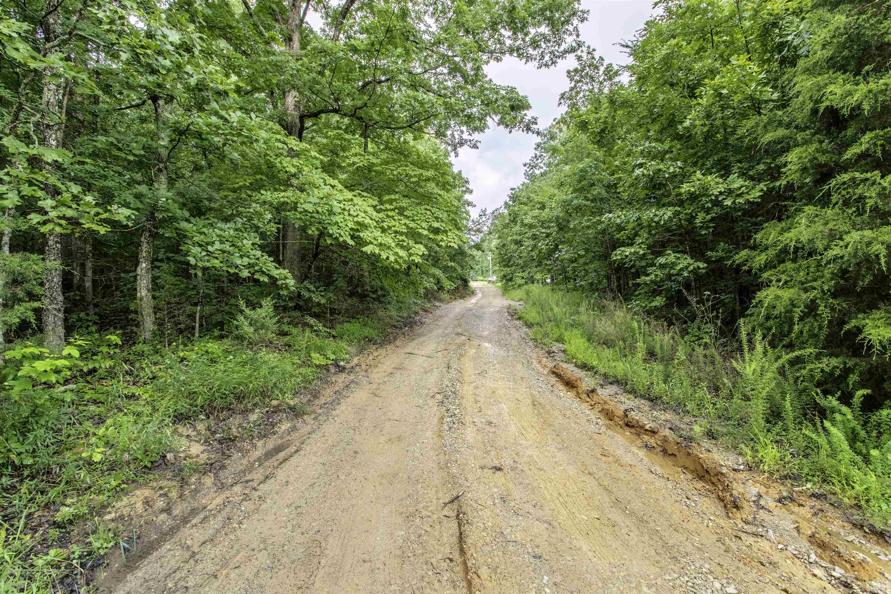 MCFADDEN ADNN BLUFFS - Land