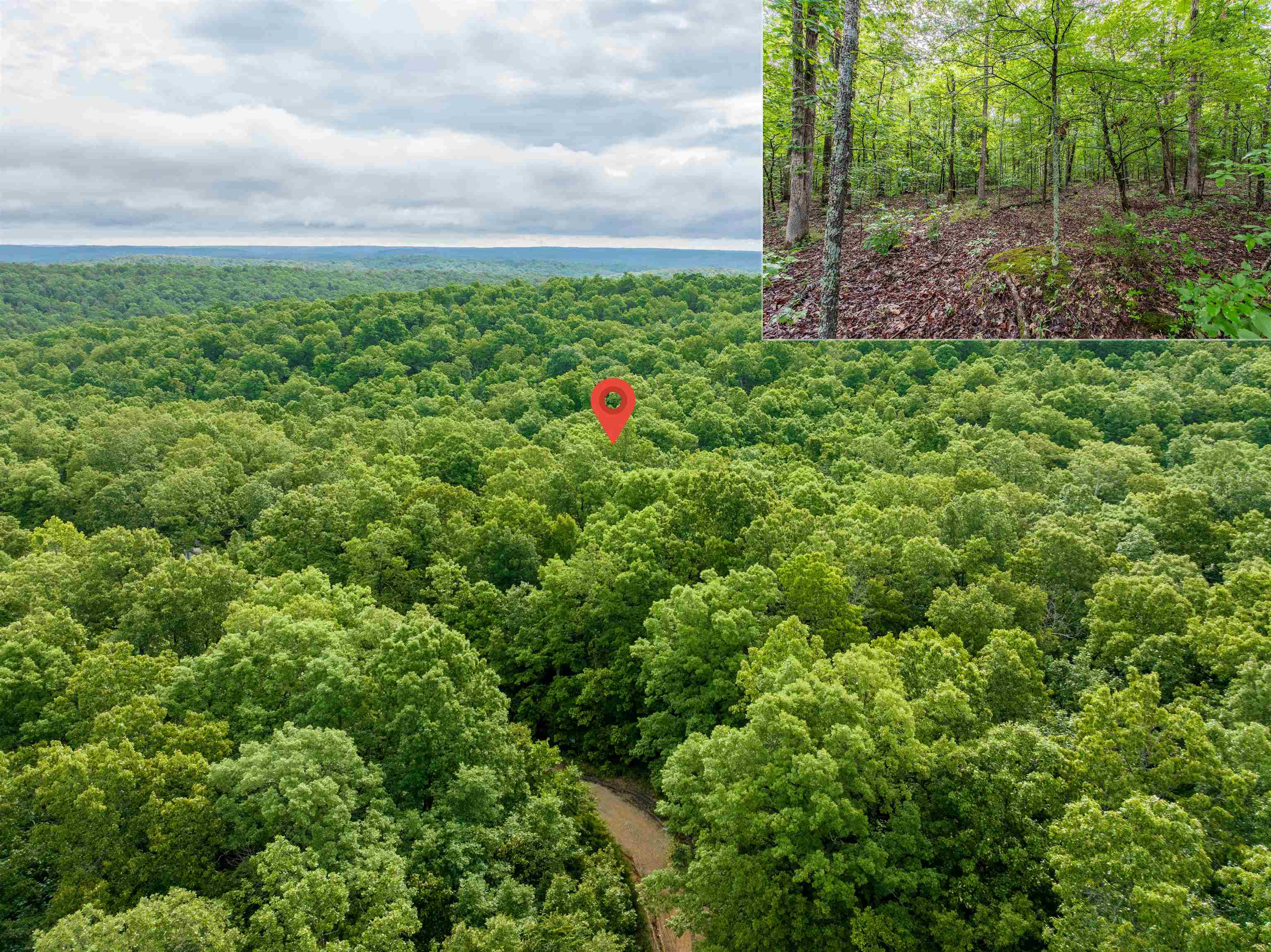 MCFADDEN ADNN BLUFFS - Land