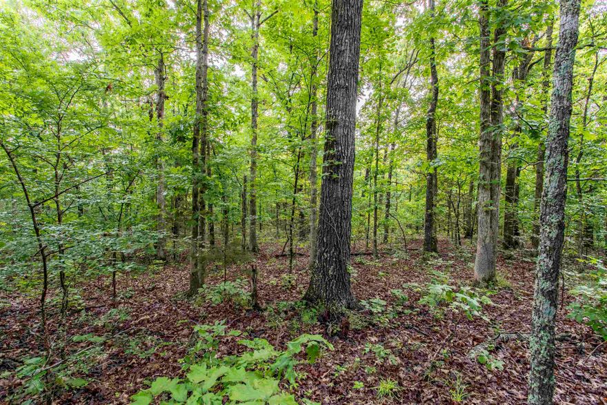 Vacant land in Fulton County, Mixed use., secluded. This 12.56 acres more or less can be used for just about anything from primitive camping, hunting to off grid property for homestead and cabin. Highland water, NEXT Fiber and North Arkansas Electric is nearby.