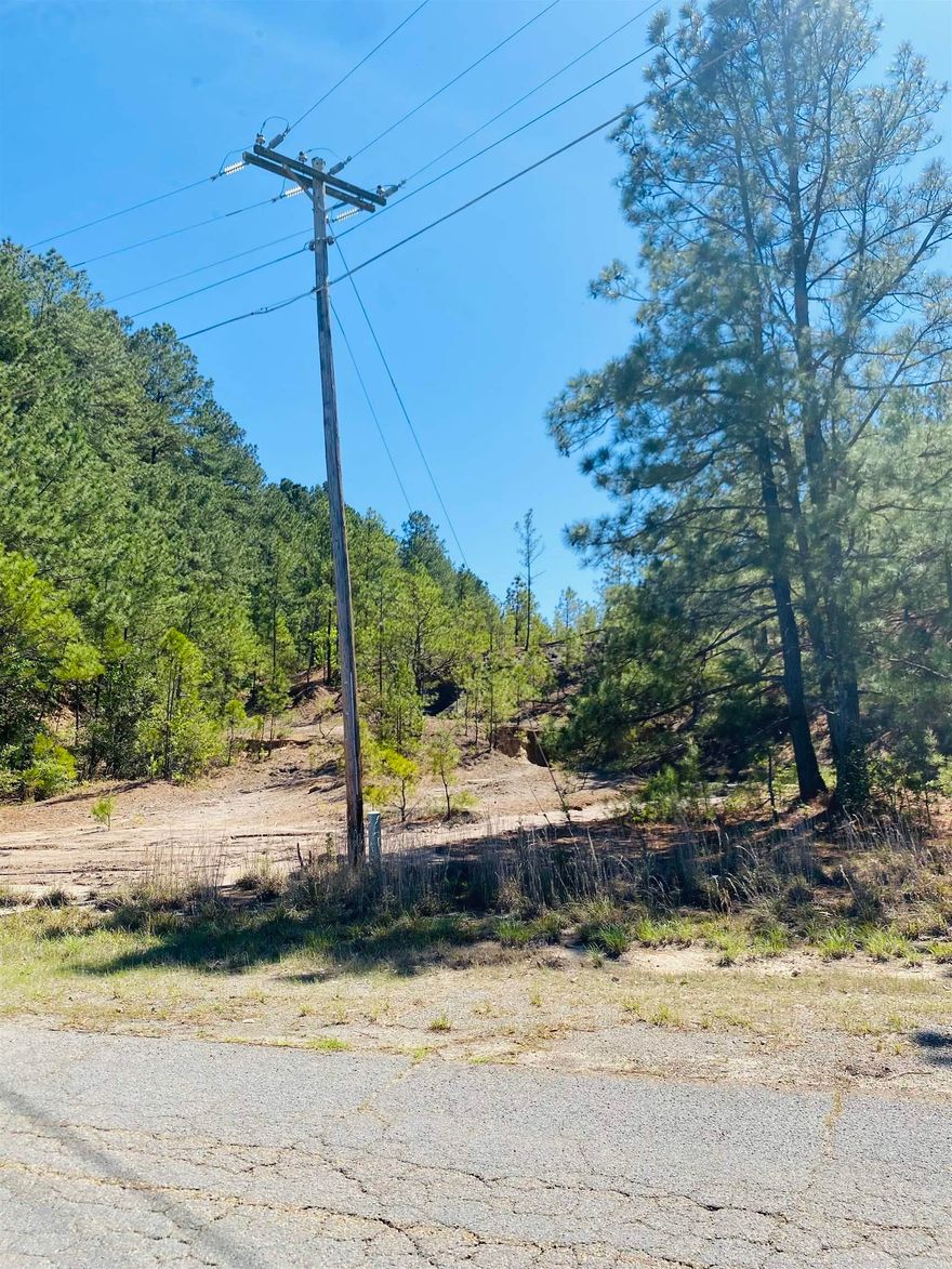 Looking for the perfect place to escape without being far from town? This beautiful 12.91-acre wooded property offers the best of both worlds - total privacy & convenience. Surrounded by mature trees, this land is ideal for building your dream home, creating a weekend retreat, or simply enjoying nature. With plenty of room to roam, you'll love the quiet, secluded feel while still being minutes from downtown Camden. If you've been dreaming space, serenity, and a place to make your own - this is it!