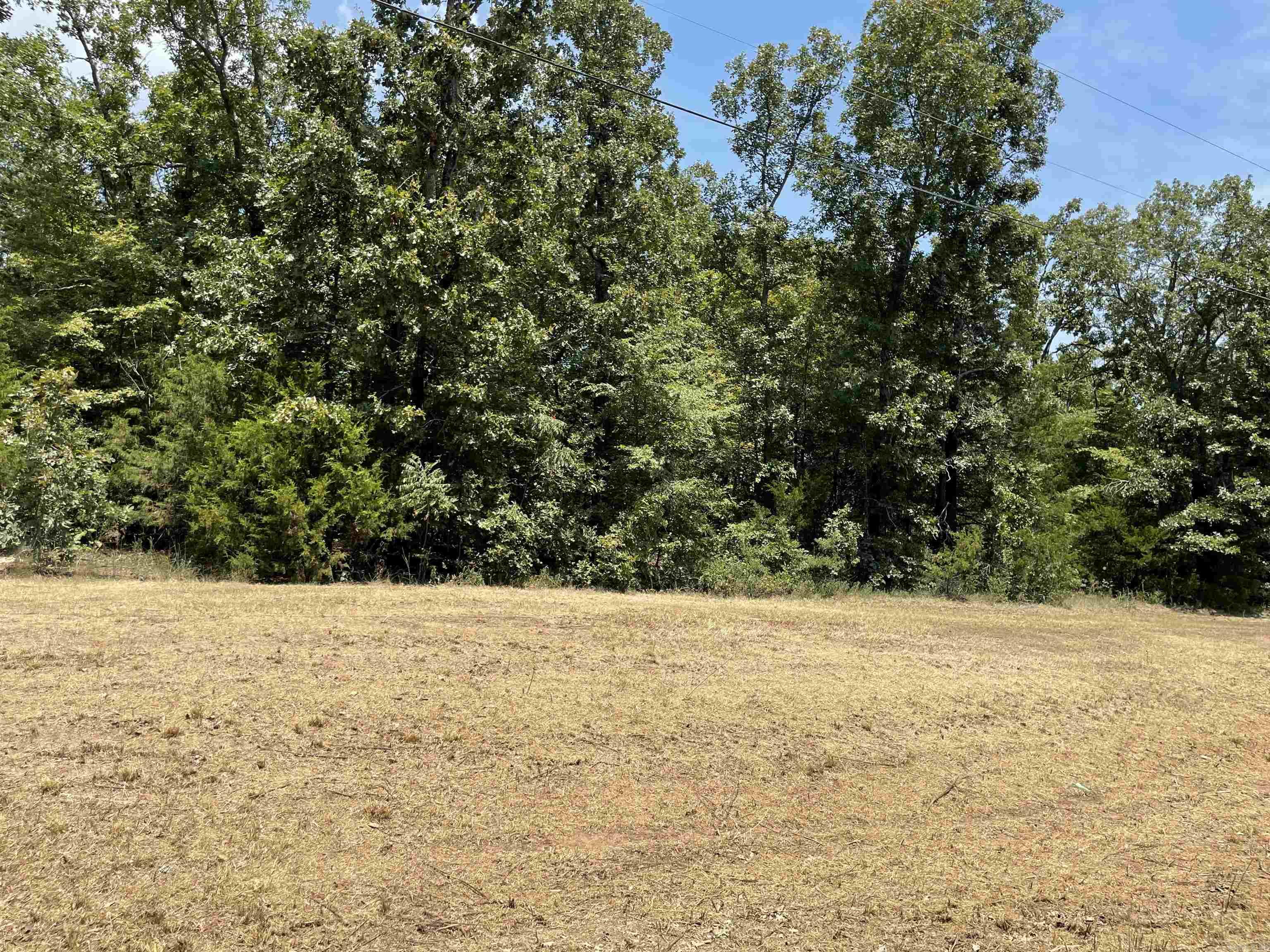 Bring your house plans and build your dream home! Large corner lot in a private subdivision. Restrictions include a minimum of 1700 sq ft for homes. Lakeridge Estates features seclusion, a peaceful lake at the back of the subdivision, paved roads and beautiful homes sitting on spacious lots. The best of both worlds with the feel of country living and the conveniences of shopping and schools just minutes away. Complete with a view and privacy, this lot is apprx .86 acre. Utilities available nearby. Will need septic. Perc test has been done.
