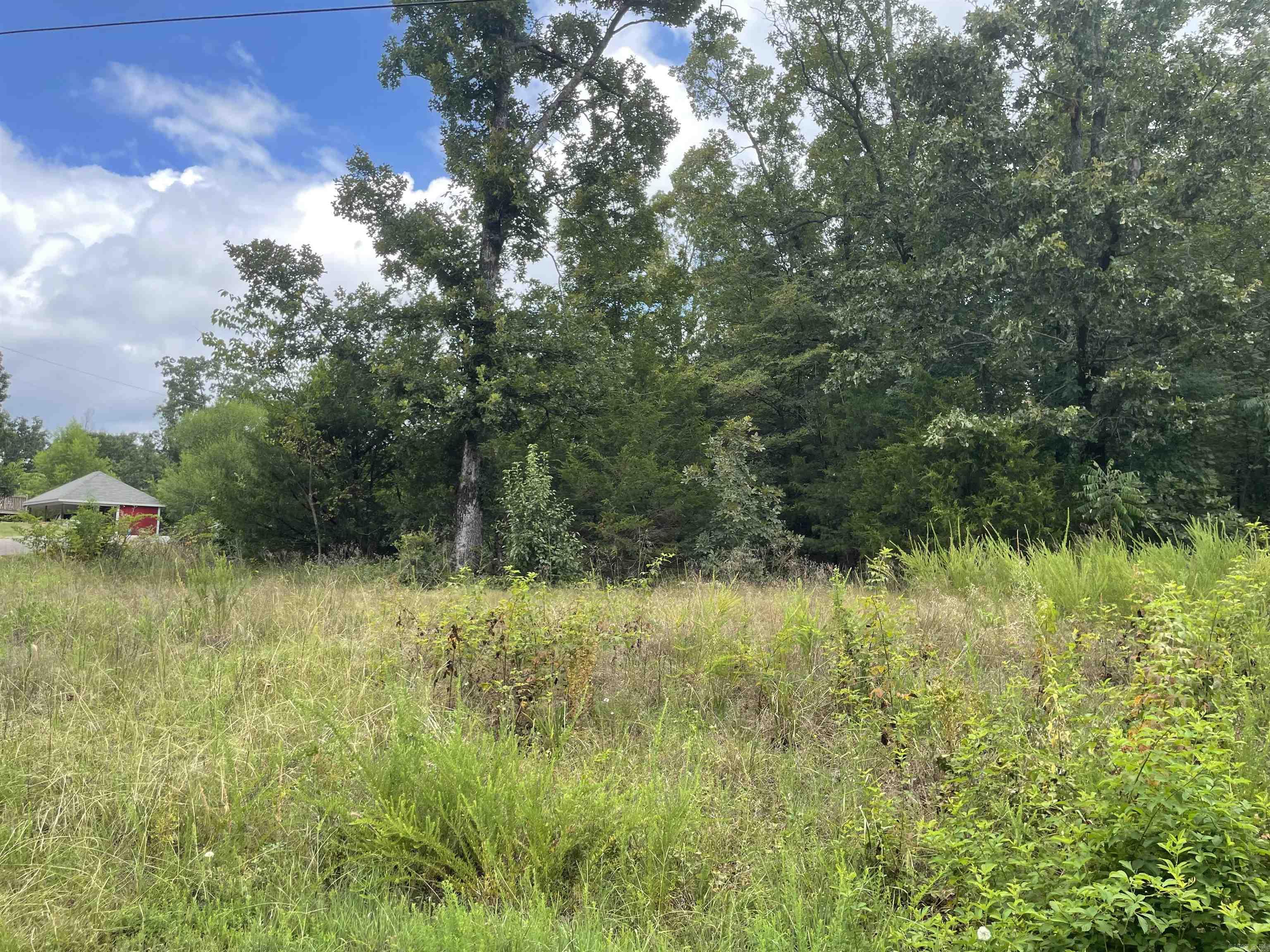 Bring your house plans and build your dream home! Large corner lot in a private subdivision. Restrictions include a minimum of 1700 sq ft for homes. Lakeridge Estates features seclusion, a peaceful lake at the back of the subdivision, paved roads and beautiful homes sitting on spacious lots. The best of both worlds with the feel of country living and the conveniences of shopping and schools just minutes away. Complete with a view and privacy, this lot is apprx .86 acre. Utilities available nearby. Will need septic. Perc test has been done.