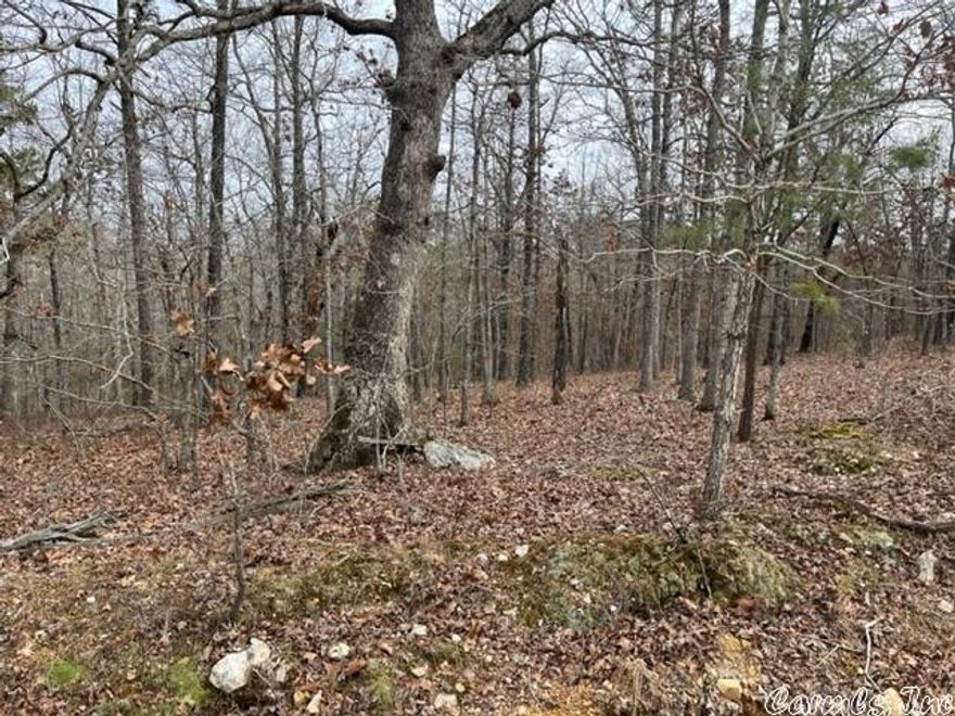 This rolling tract is wonderfully diverse and perfect for so many aspirations, with multiple building sites and a breathtaking view of the Ozark Mountains. Located between St. Joe and Pindall, this acreage is the perfect place to enjoy the recreational opportunities available in the surrounding area or the ideal place to build a residence. This beautiful property is only minutes away from the Buffalo River. Water and electricity are available.