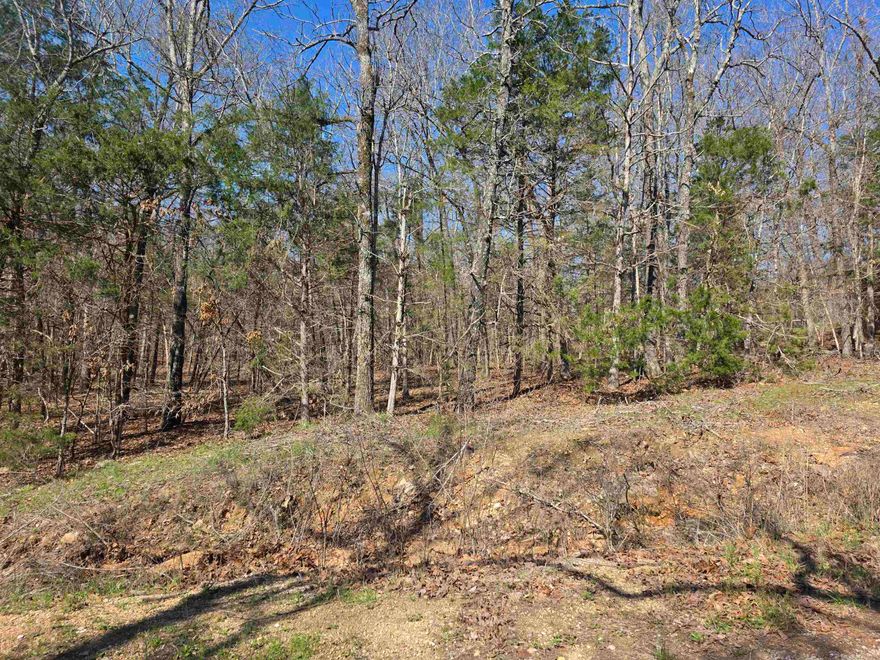 Wonderful and wooded lot in the heart of Cherokee Village. Secluded and away from it all. But close to a main road for quick exits from the Village for shopping, dining and entertainment. Lots of trees and lots of wildlife as well as a wet weather creek at the very back of the lot. Buy this lot and pick your spot to build your dream home or just a getaway cabin. With ownership of this lot, you will have access to all the amenities of Cherokee Village such as the 7 lakes and Two 18-hole golf courses also the Thunderbird Center and swimming pool, mini golf, parks, hiking trails and don't forget about the beautiful Southfork River for fishing, kayaking or just floating down to wet your toes. This is a wonderful lot to purchase and plan for your future home. Call to purchase this one. This lot can be purchased in a package deal with 2 other lots. 2 side by side connected to the back of this one. 3 Lots in all.