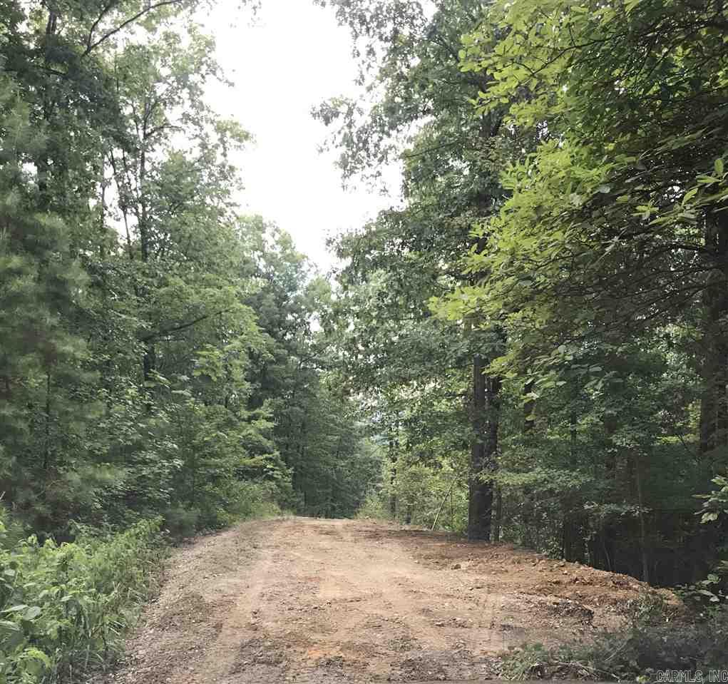 5 MILES FROM LAKE OUACHITA. MOUNTAIN TOP PROPERTY WITH NICE VIEW AND NATURAL SPRING!! GOOD HOMESITE. 20 ACRES MOL WITH A GORGEOUS MOUNTAIN VIEW. JESSIEVILLE SCHOOL DISTRICT. MANUFACTURED HOMES 5 YEARS AND NEWER ALLOWED COUNTY WATER AND ELECTRIC AT HWY.