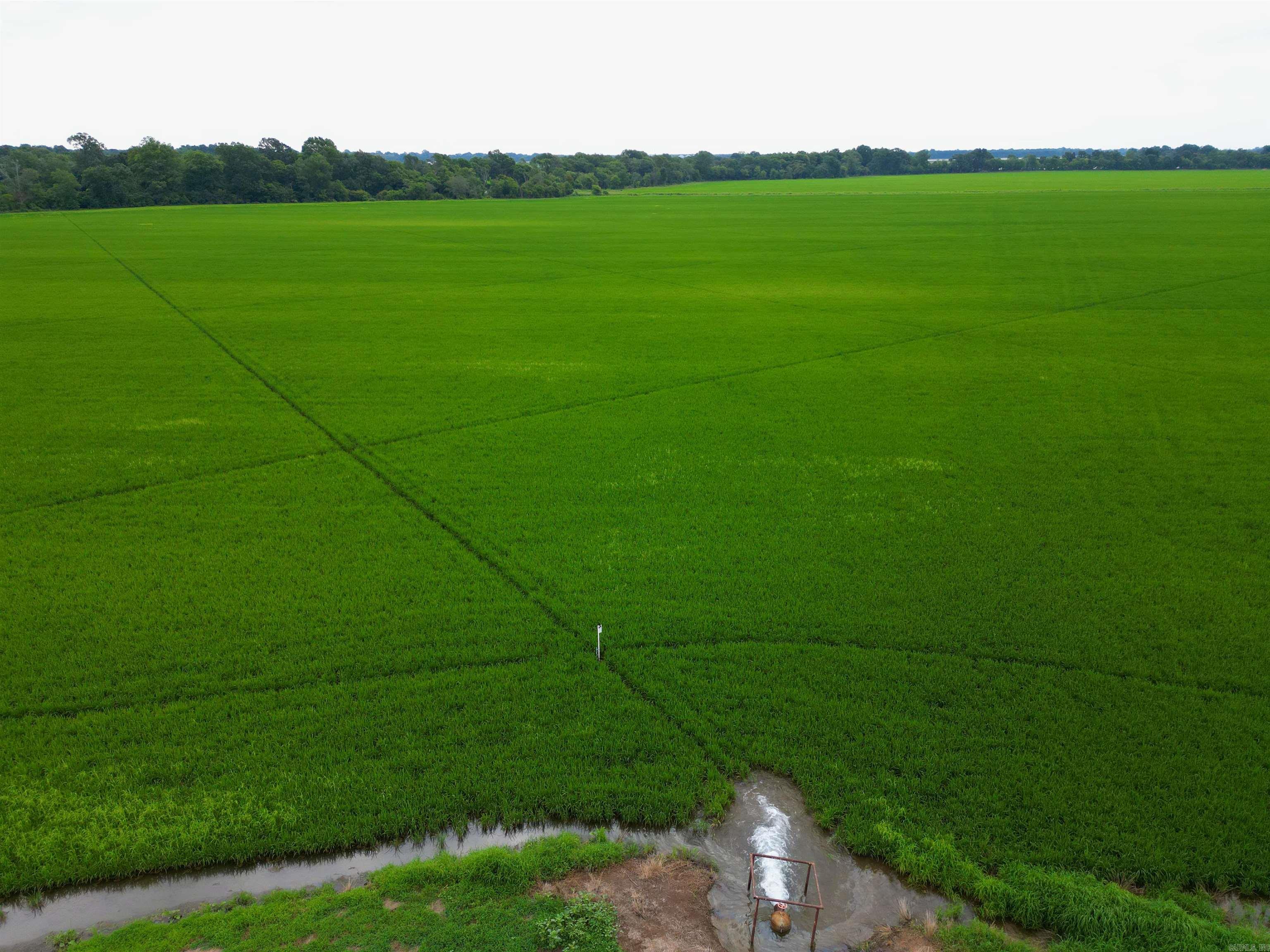 The āNorth England Farmā consists of 345 +/- deeded acres with 315 +/- of those acres being tillable, cropland A. Located just north of England, AR, this contiguous tract lies on the south side of Central High Rd and is dissected by Indian Bayou on the northeast corner. All 315 of the tillable acres are currently in zero-grade rice production and are all irrigated via 3 wells strategically located across the farm as well as by one re-lift in the Indian Bayou. Currently, there is a prominent local tenant in place who is farming this tract on a crop share of 75/25 with no input cost for the owner. Though considered an investment-grade production farm, this tract stands out due to its location in a prominent area for duck hunting. With Indian Bayou running through the property along with its near proximity to some of the world's most renowned duck hunting locations, properties in this area have been highly sought out for their recreational history. This property was leased out for the 2023-2024 duck season for $15,000 and have requested to continue that lease for the 2024-2025 season should the new owner wish to carry that on.