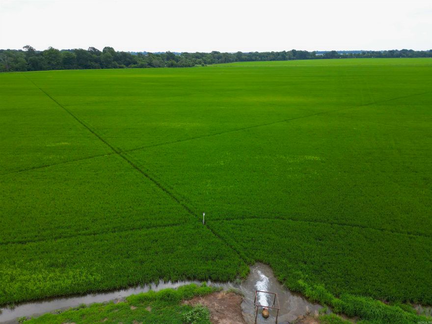 The “North England Farm” consists of 345 +/- deeded acres with 315 +/- of those acres being tillable, cropland A. Located just north of England, AR, this contiguous tract lies on the south side of Central High Rd and is dissected by Indian Bayou on the northeast corner. All 315 of the tillable acres are currently in zero-grade rice production and are all irrigated via 3 wells strategically located across the farm as well as by one re-lift in the Indian Bayou. Currently, there is a prominent local tenant in place who is farming this tract on a crop share of 75/25 with no input cost for the owner.  Though considered an investment-grade production farm, this tract stands out due to its location in a prominent area for duck hunting. With Indian Bayou running through the property along with its near proximity to some of the world's most renowned duck hunting locations, properties in this area have been highly sought out for their recreational history. This property was leased out for the 2023-2024 duck season for $15,000 and have requested to continue that lease for the 2024-2025 season should the new owner wish to carry that on.