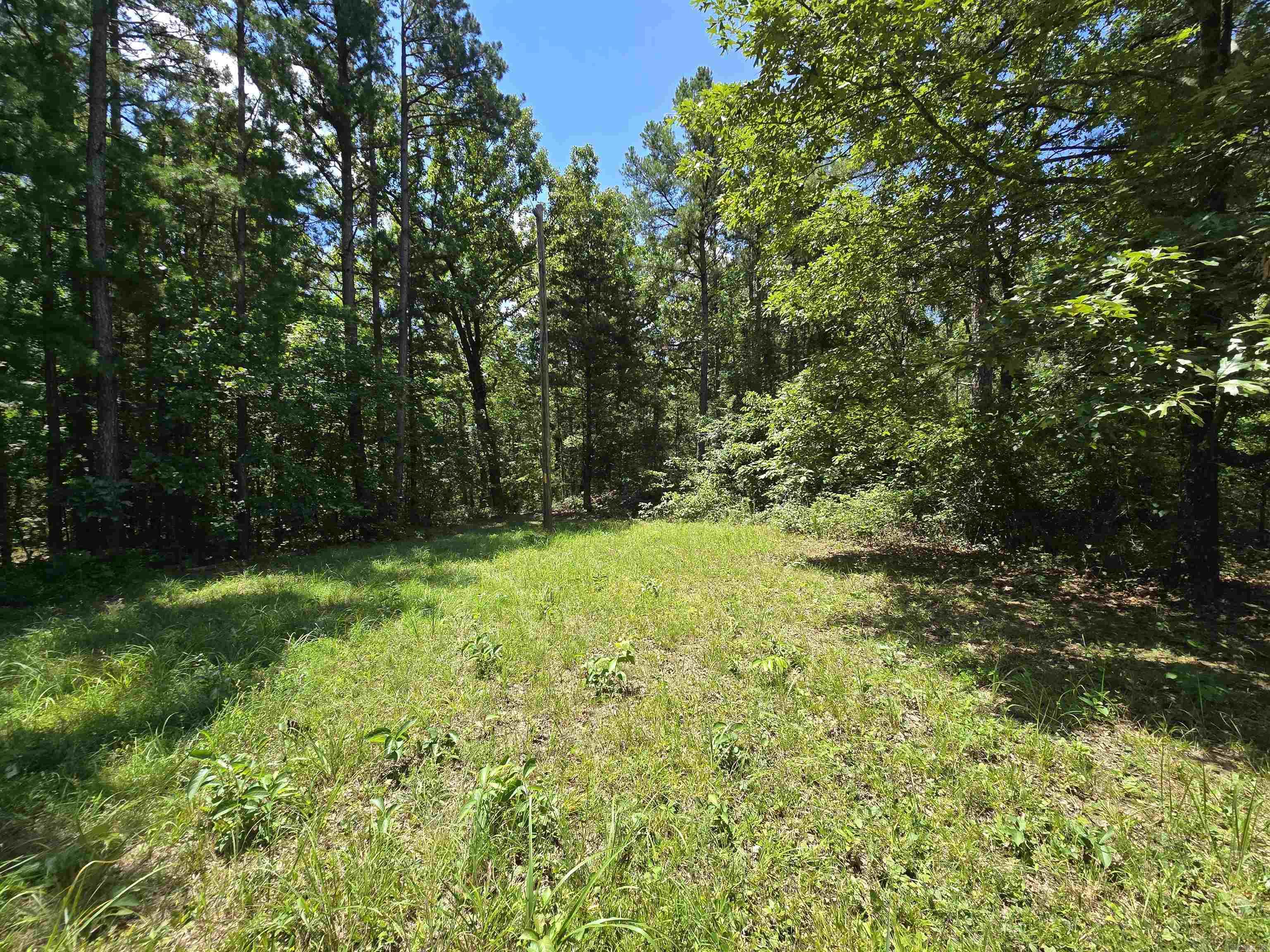 Beautiful 20acres +/- that lays fairly flat up top sloping to the east and south. Not far from Fairfield Bay and Clinton. Mostly wooded with a few cleared areas up on top. Petit Jean electric runs through the property and an old well is believed to be on the property. There is also a concrete structure partially below grade that could have possibilities as well as a large steel enclosed trailer and school bus that will convey with sale. Property access from the New Road comes via an easement through two other parcels.