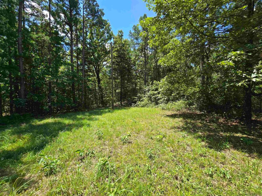 Beautiful 20acres +/- that lays fairly flat up top sloping to the east and south.  Not far from Fairfield Bay and Clinton.  Mostly wooded with a few cleared areas up on top.  Petit Jean electric runs through the property and an old well is believed to be on the property.  There is also a concrete structure partially below grade that could have possibilities as well as a large steel enclosed trailer and school bus that will convey with sale.  Property access from the New Road comes via an easement through two other parcels.