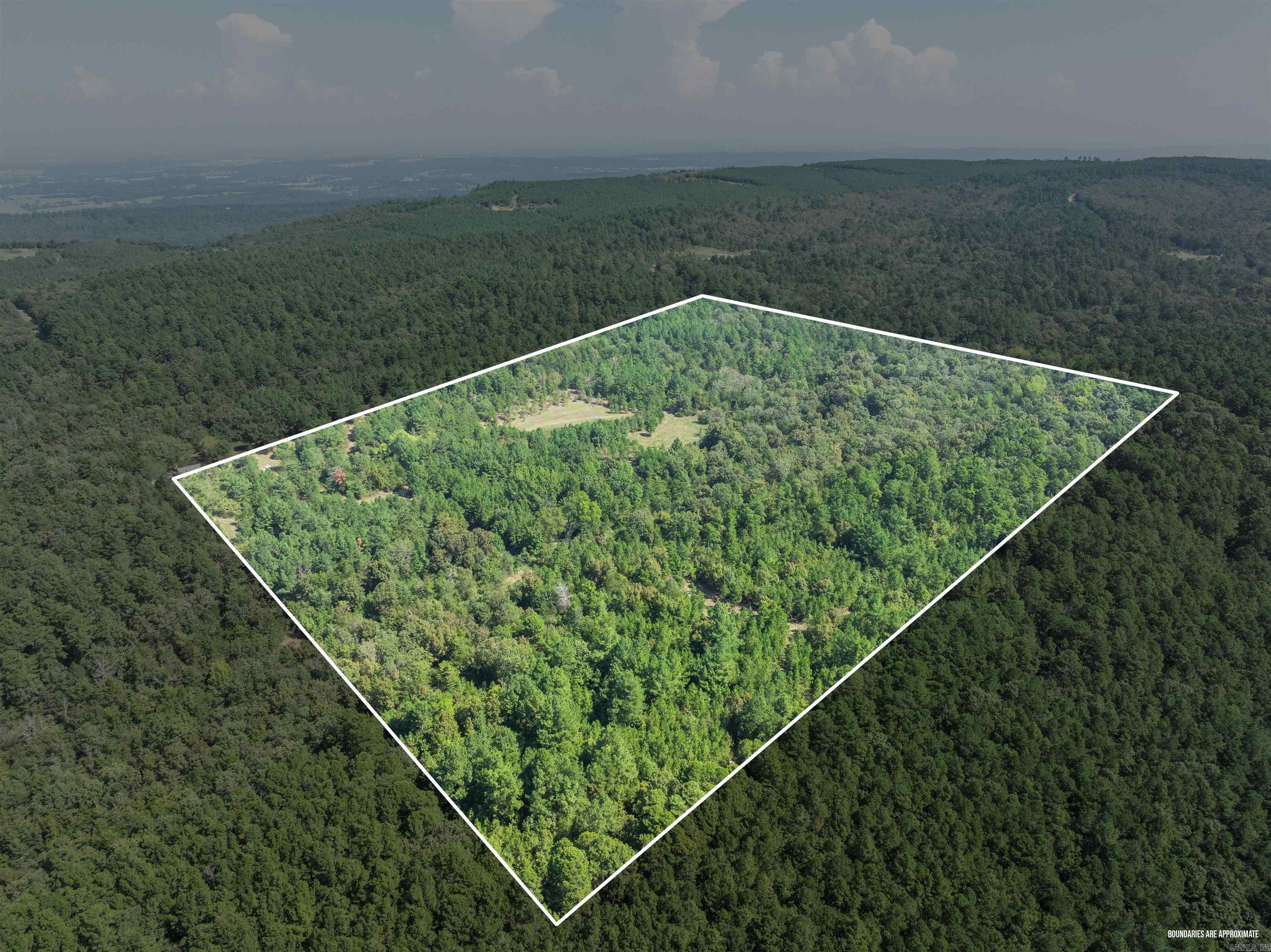40 Acres of Prime Hunting Grounds near Mount Magazine! Get ready to own your hunters paradise. Surrounded by the Ozark National Forest, this paradise offers seclusion and unforgettable hunting experiences. This piece of land has it all. *Key Features:* 40 acres of prime hunting land-Surrounded by National Forest for added seclusion and hunting opportunity-Highly manicured food plots to increase habitat for deer, turkeys bear - Precision-cut shooting lanes-Strategically placed tree stands for the ultimate hunting experience-Road Frontage -creek has water most of the year and makes a great water source *The Hunting Cabin:*-Hunting cabin renovated from top to bottom with all new plumbing and modern amenities ensuring a comfortable stay-Perfect retreat after a long day of hunting. Location:- Close proximity to Mount Magazine, offering scenic views and outdoor recreation opportunities- Paris, Arkansas, provides easy access to amenities and services *Game Species -great Deer heard-abundance of Bear - great turkey population *Don't miss this rare opportunity to own a piece of hunting Drone Footage: https://listings.premierphotoco.com/video/QUIz01AeVTrbDDMHpM02OaLH2jebZ