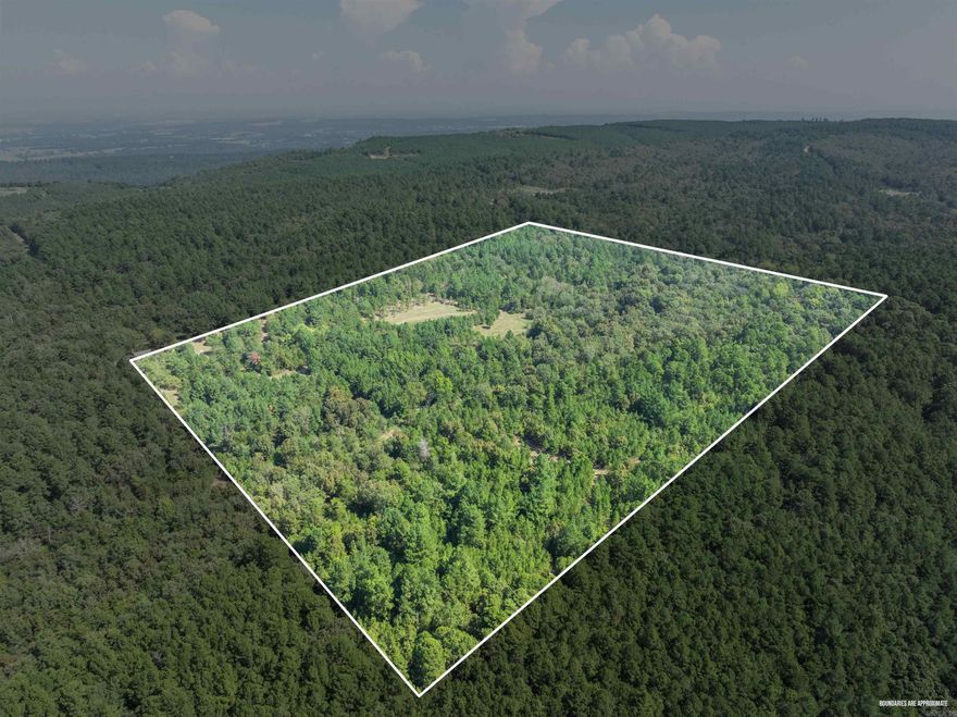 40 Acres of Prime Hunting Grounds near Mount Magazine! Get ready to own your hunters paradise. Surrounded by the Ozark National Forest, this paradise offers seclusion and unforgettable hunting experiences. This piece of land has it all. *Key Features:* 40 acres of prime hunting land-Surrounded by National Forest for added seclusion and hunting opportunity-Highly manicured food plots to increase habitat for deer, turkeys bear - Precision-cut shooting lanes-Strategically placed tree stands for the ultimate hunting experience-Road Frontage -creek has water most of the year and makes a great water source *The Hunting Cabin:*-Hunting cabin renovated from top to bottom with all new plumbing and modern amenities ensuring a comfortable stay-Perfect retreat after a long day of hunting. Location:- Close proximity to Mount Magazine, offering scenic views and outdoor recreation opportunities- Paris, Arkansas, provides easy access to amenities and services *Game Species -great Deer heard-abundance of Bear - great turkey population  *Don't miss this rare opportunity to own a piece of hunting Drone Footage: https://listings.premierphotoco.com/video/QUIz01AeVTrbDDMHpM02OaLH2jebZ