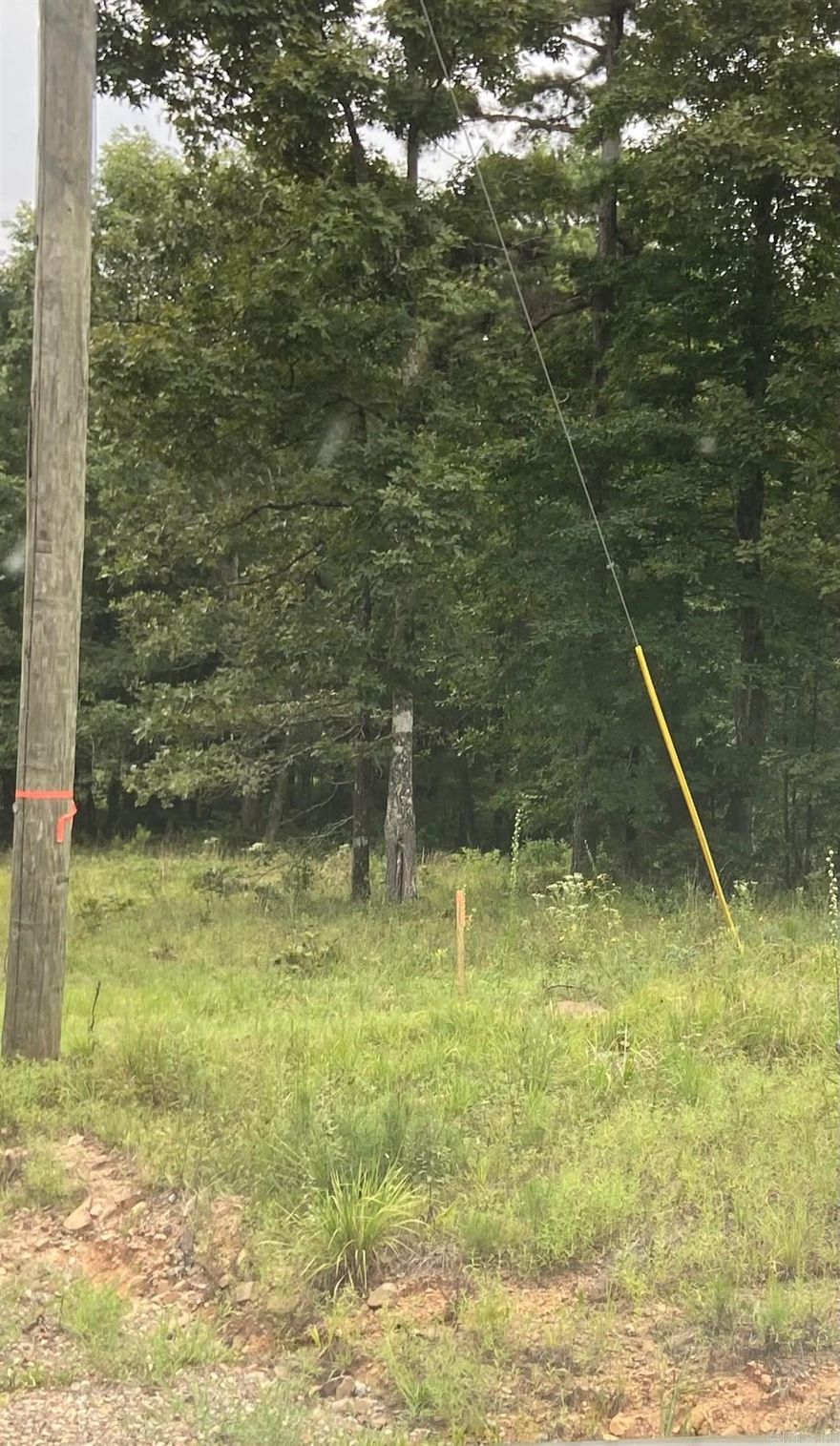 This is your opportunity to own 20 acres: lot 12, 13 & 14 available.  Beautiful land that could be cleared to build your dream house, the kid's dream tree house and create a 4 wheeling path for dad.  Very Private.  Electricity with First Electric Co-op & water is Central AR Water.  17 miles to Chenal Walmart.   All this for less than $140,000.  Surveys online. Lots are being sold separately.