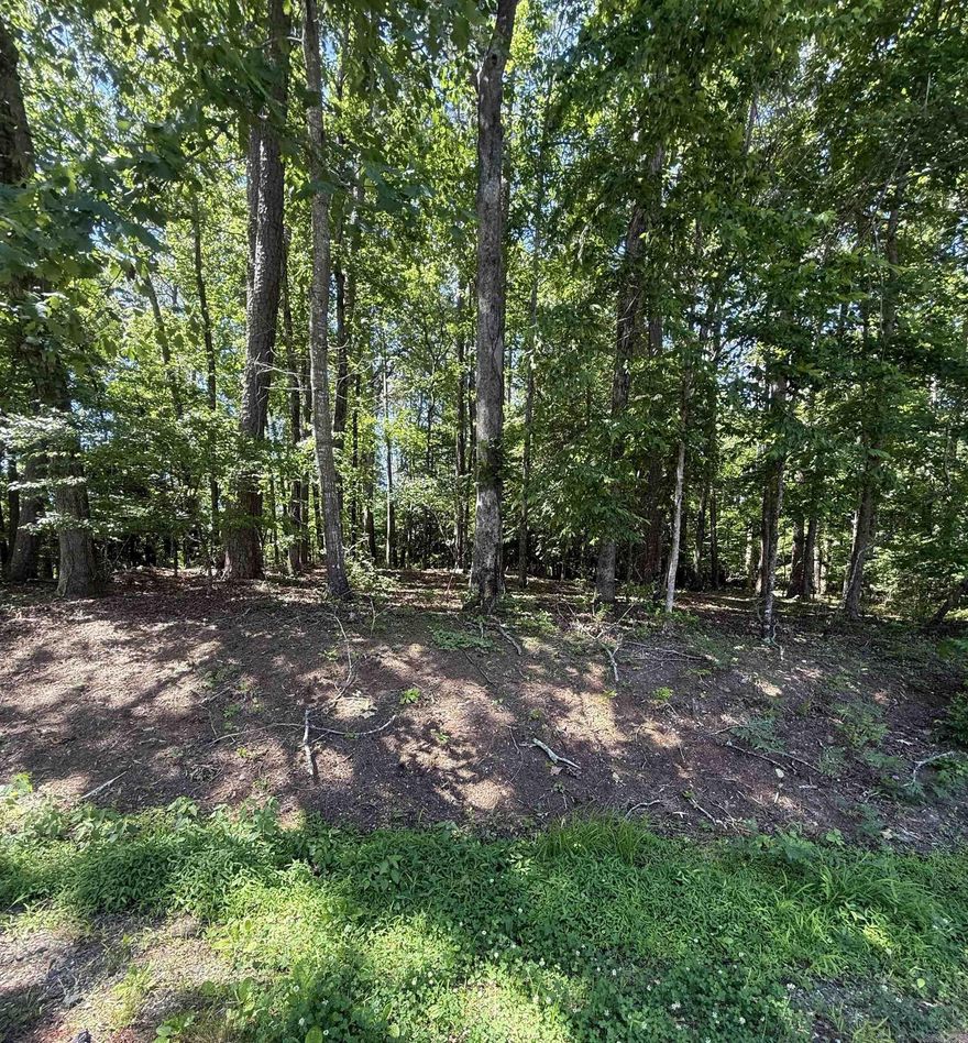 Discover the perfect canvas for your dream home with this exceptional building lot overlooking the serene beauty of Lake Cortez. Located in the picturesque setting of Hot Springs Village, this property offers a unique opportunity to create a lifetime of cherished memories. Envision waking up each morning to breathtaking views where the tranquil waters meet lush, rolling landscapes. Whether you're an outdoor enthusiast eager to explore nearby hiking trails and golf courses or someone seeking quiet solitude by the lake, Hot Springs Village offers something for everyone! The nation's largest gated community offers 9 beautiful golf courses, 11 recreational lakes with over 30 miles of trails for walking and hiking! New buyers to the Village have a $300.00 buy in fee payable to the POA at closing.