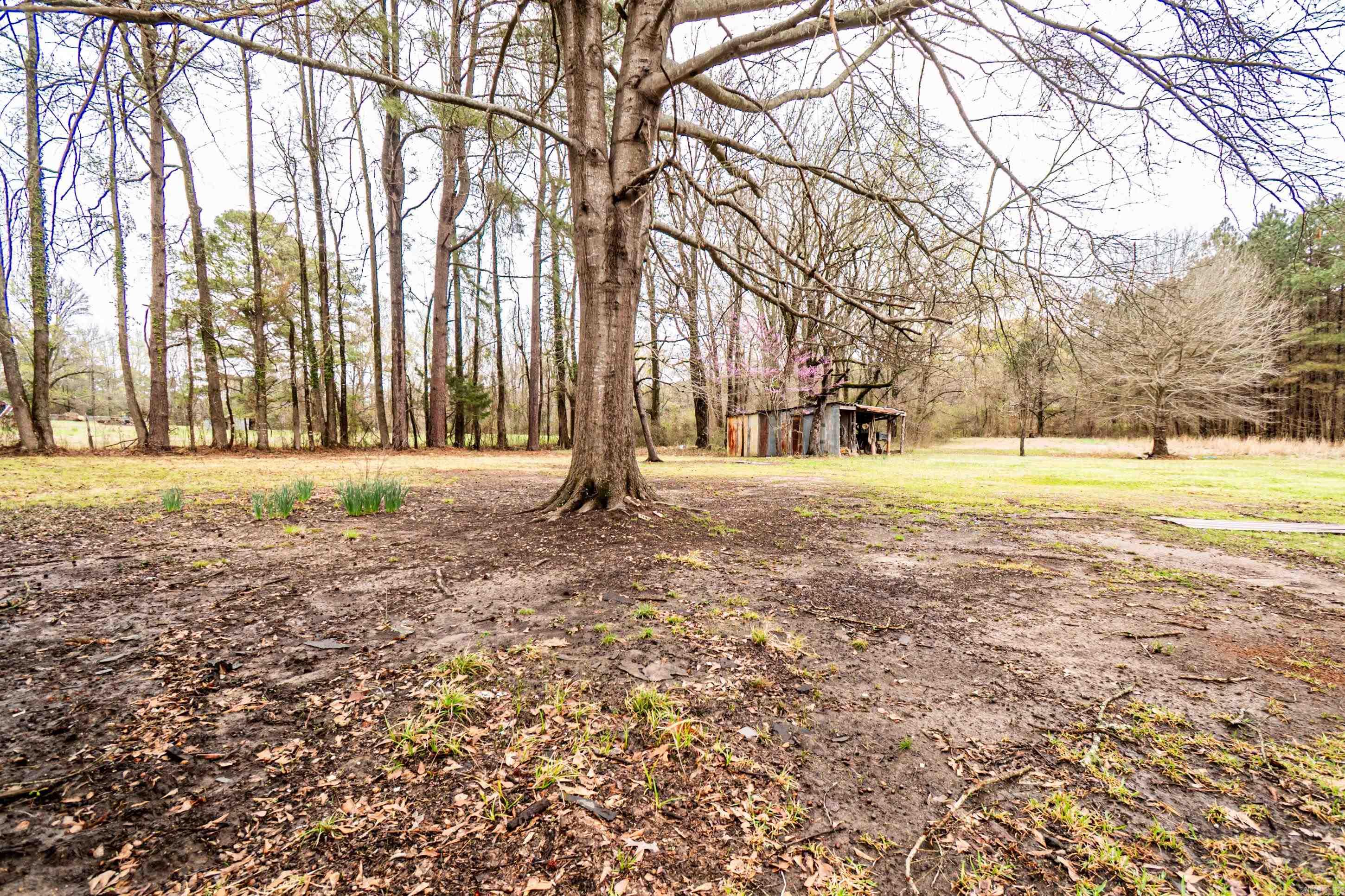 MONTICELLO - Residential