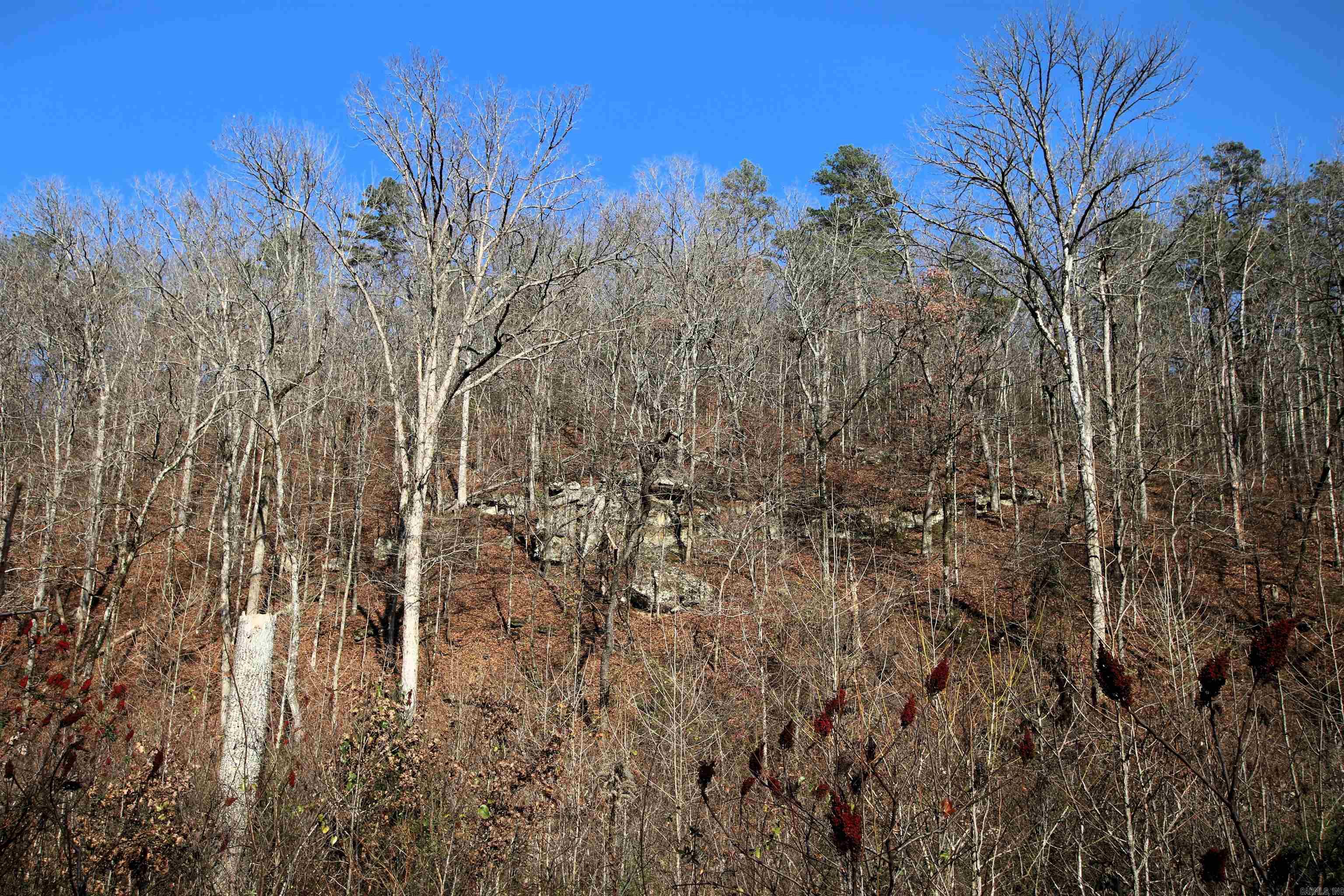 Not in Subdivision - Land