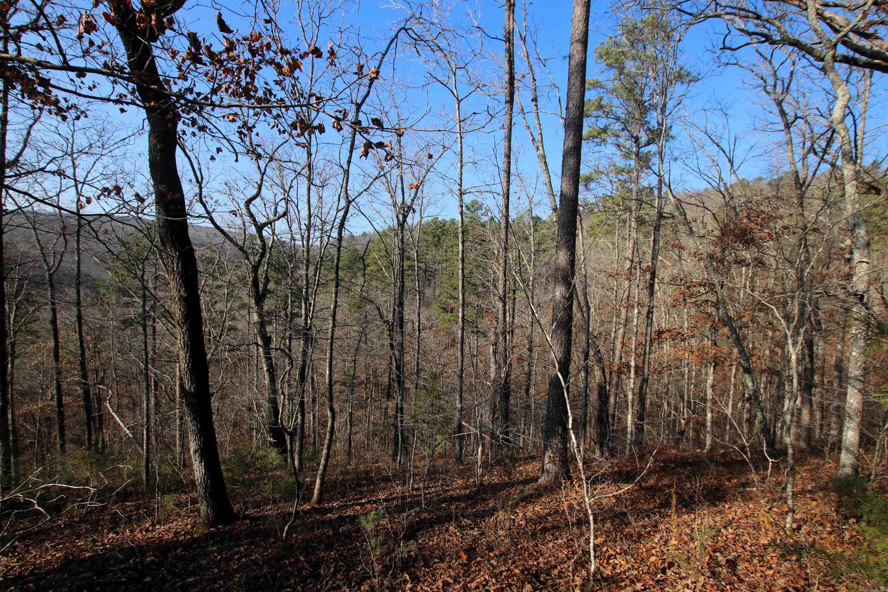 Not in Subdivision - Land