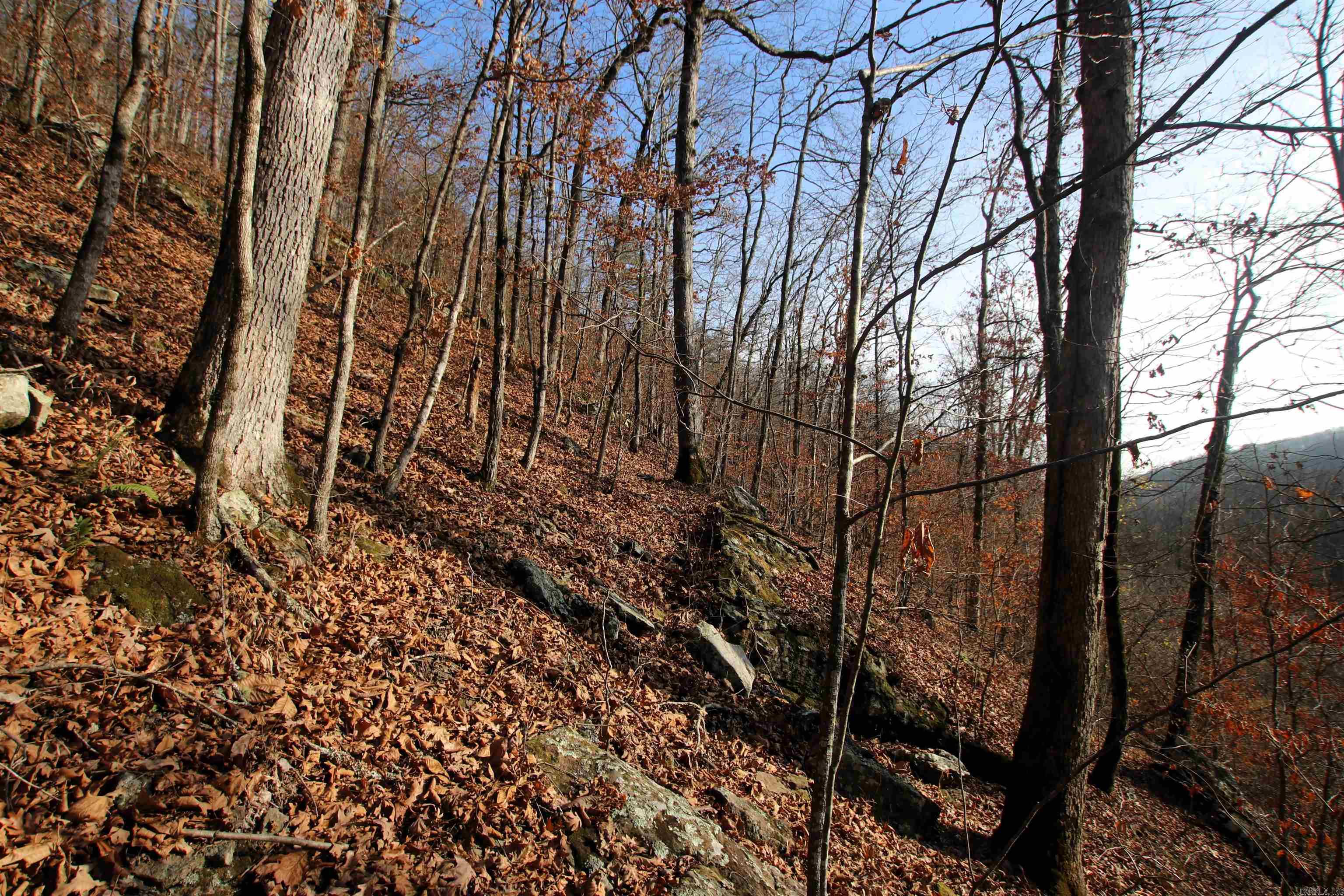 Not in Subdivision - Land