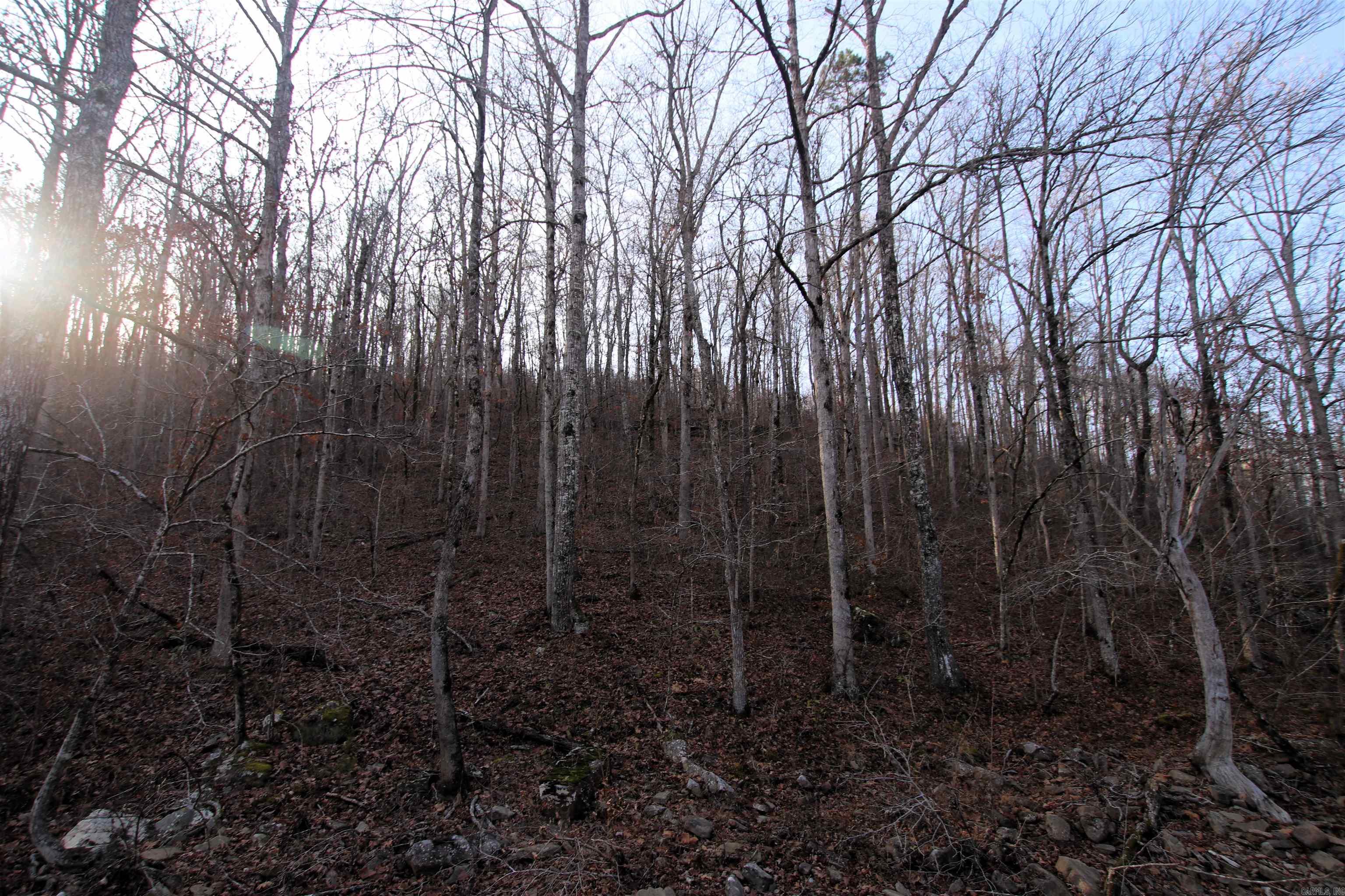 Not in Subdivision - Land