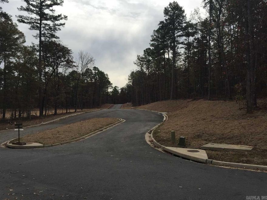 Chenal Valley's newest neighborhood of 34 lots, surrounded by greenbelt, with golf cart access.