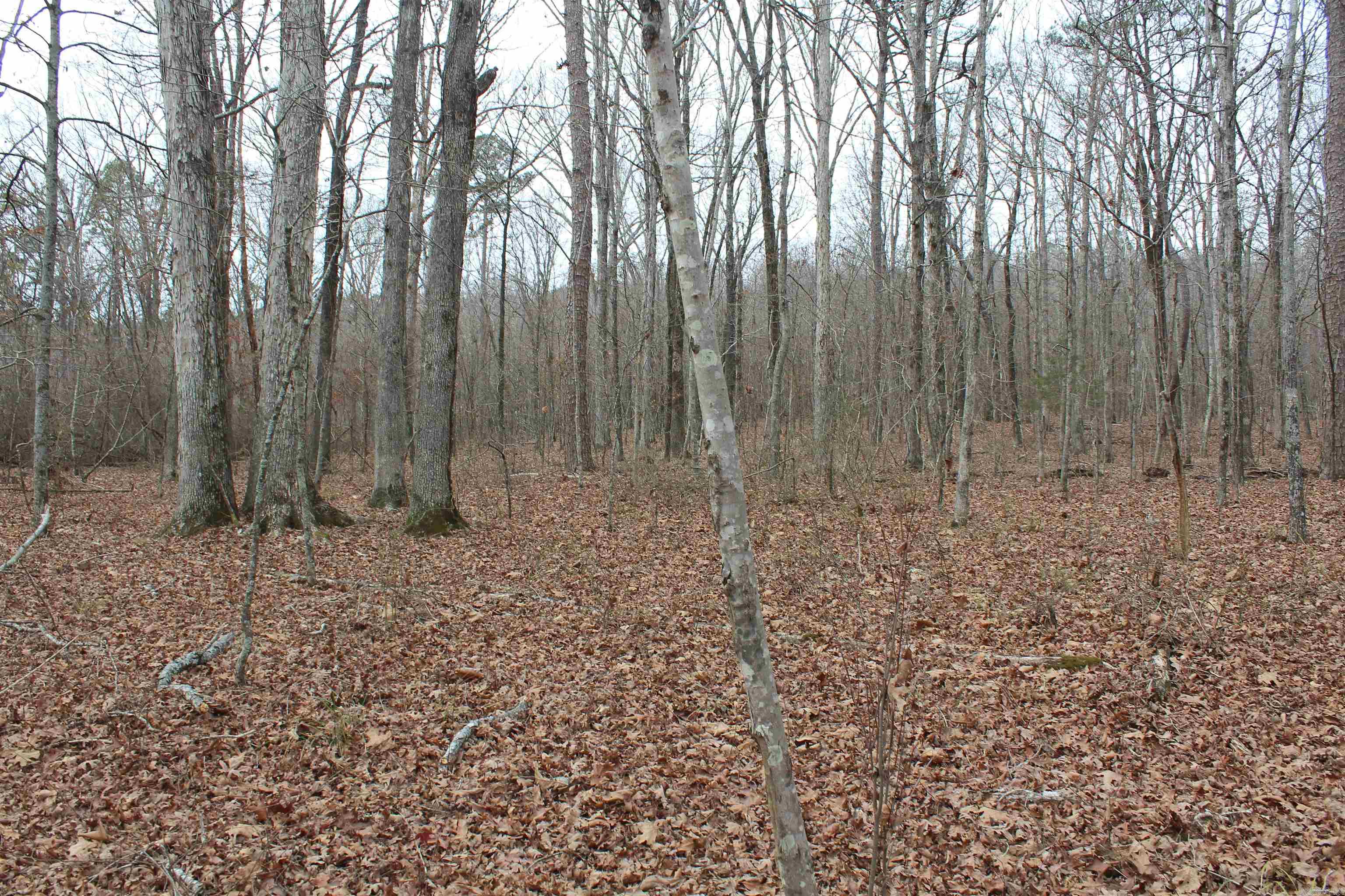 Not in Subdivision - Land