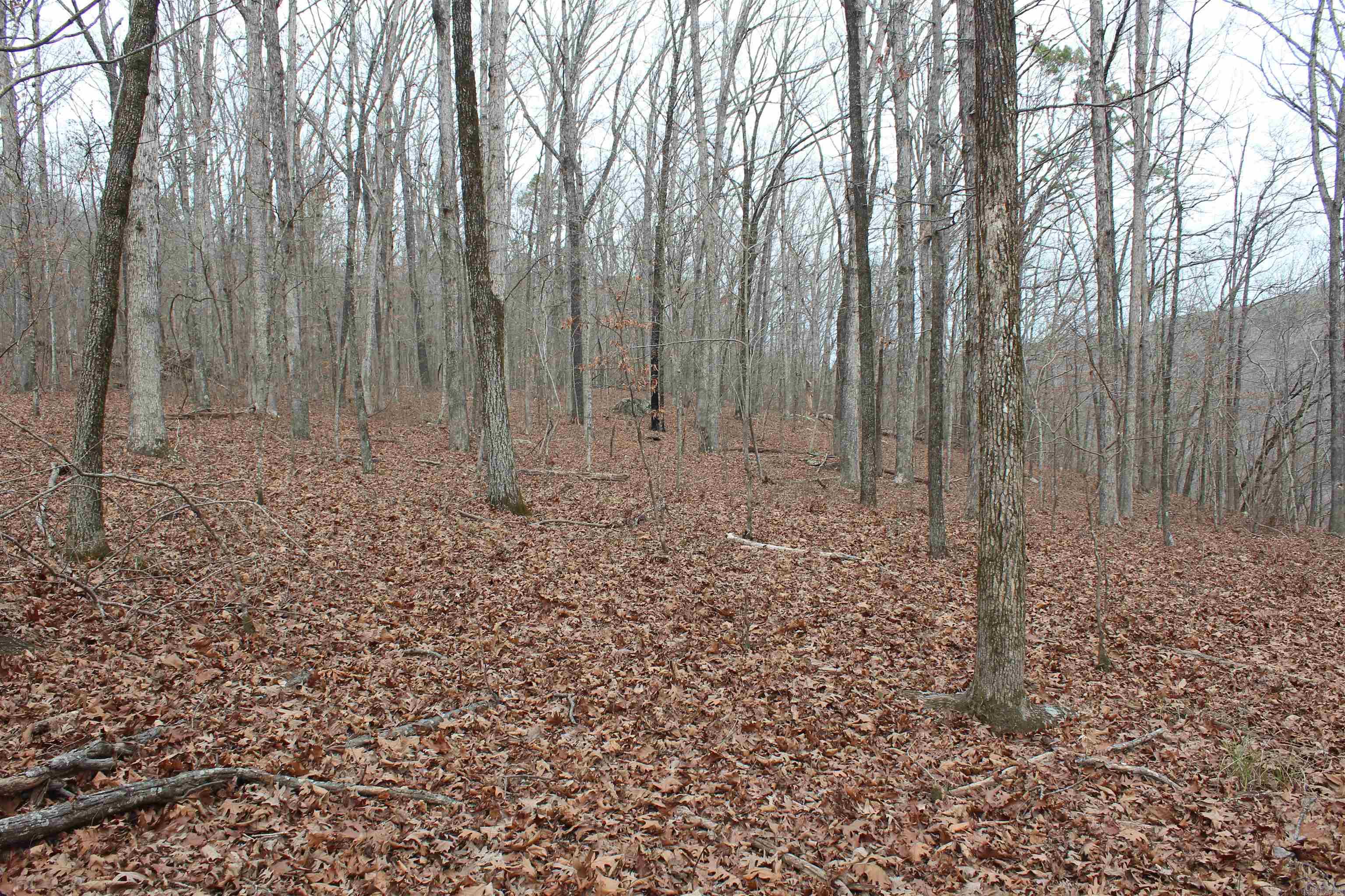 Not in Subdivision - Land