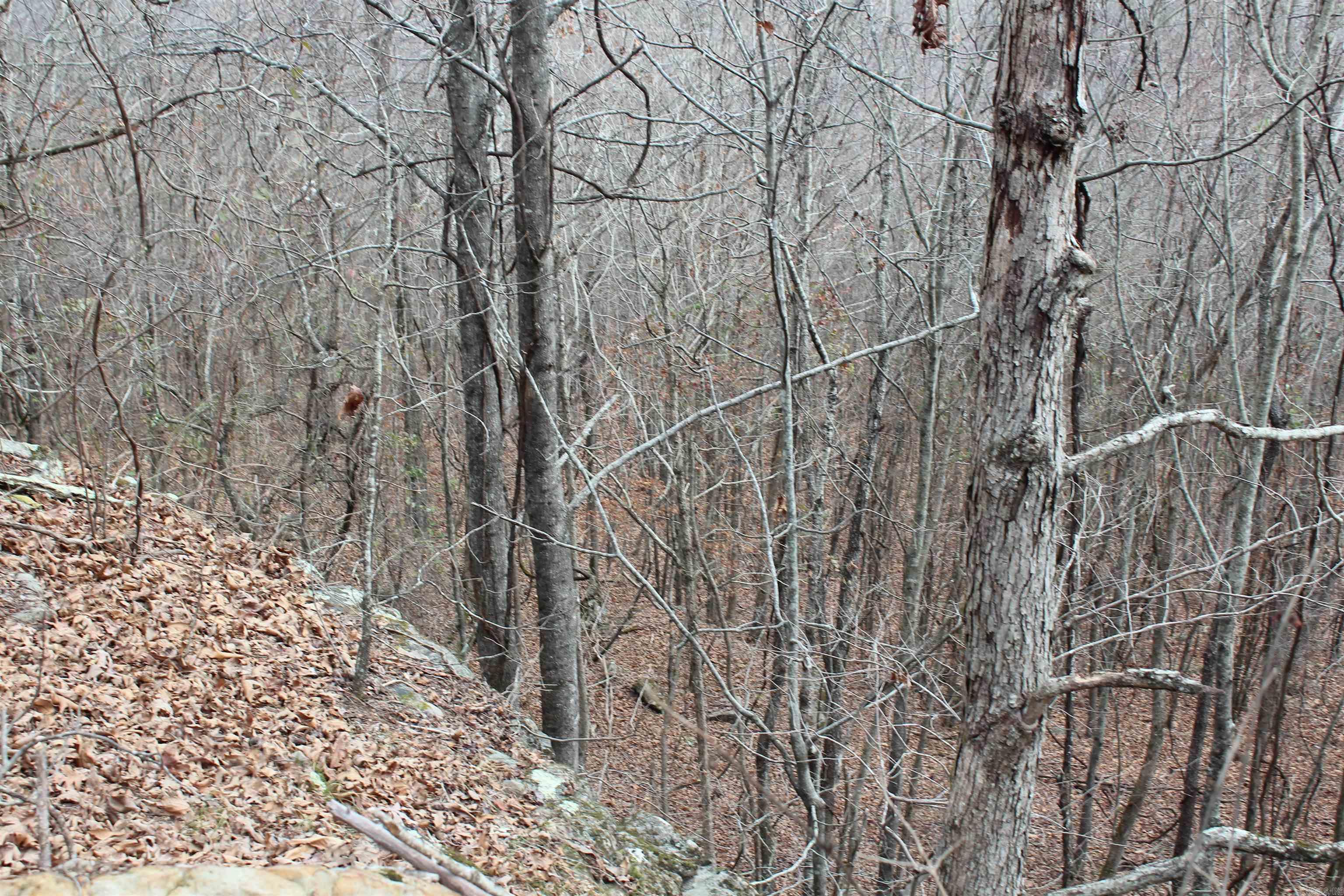 Not in Subdivision - Land