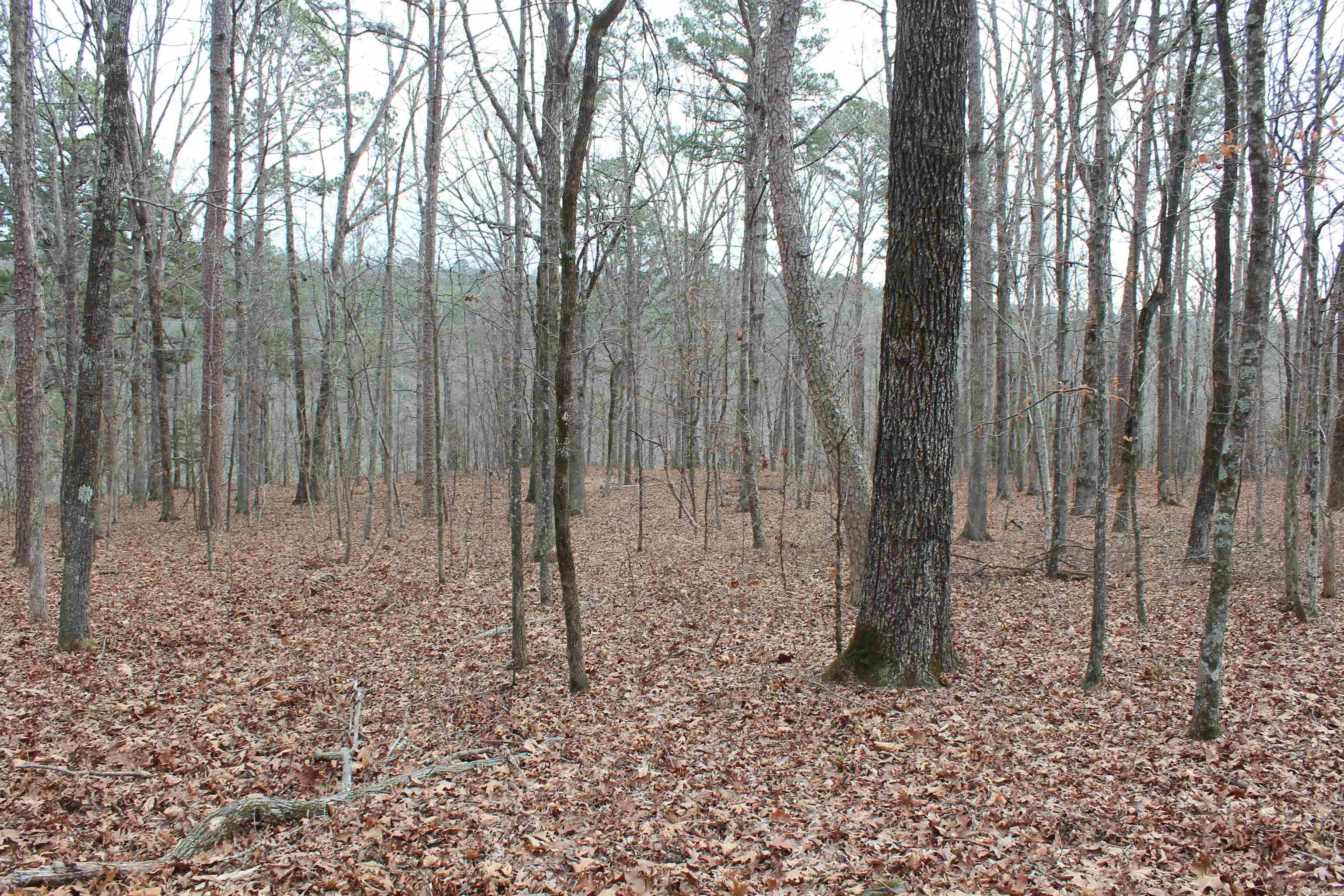 Not in Subdivision - Land