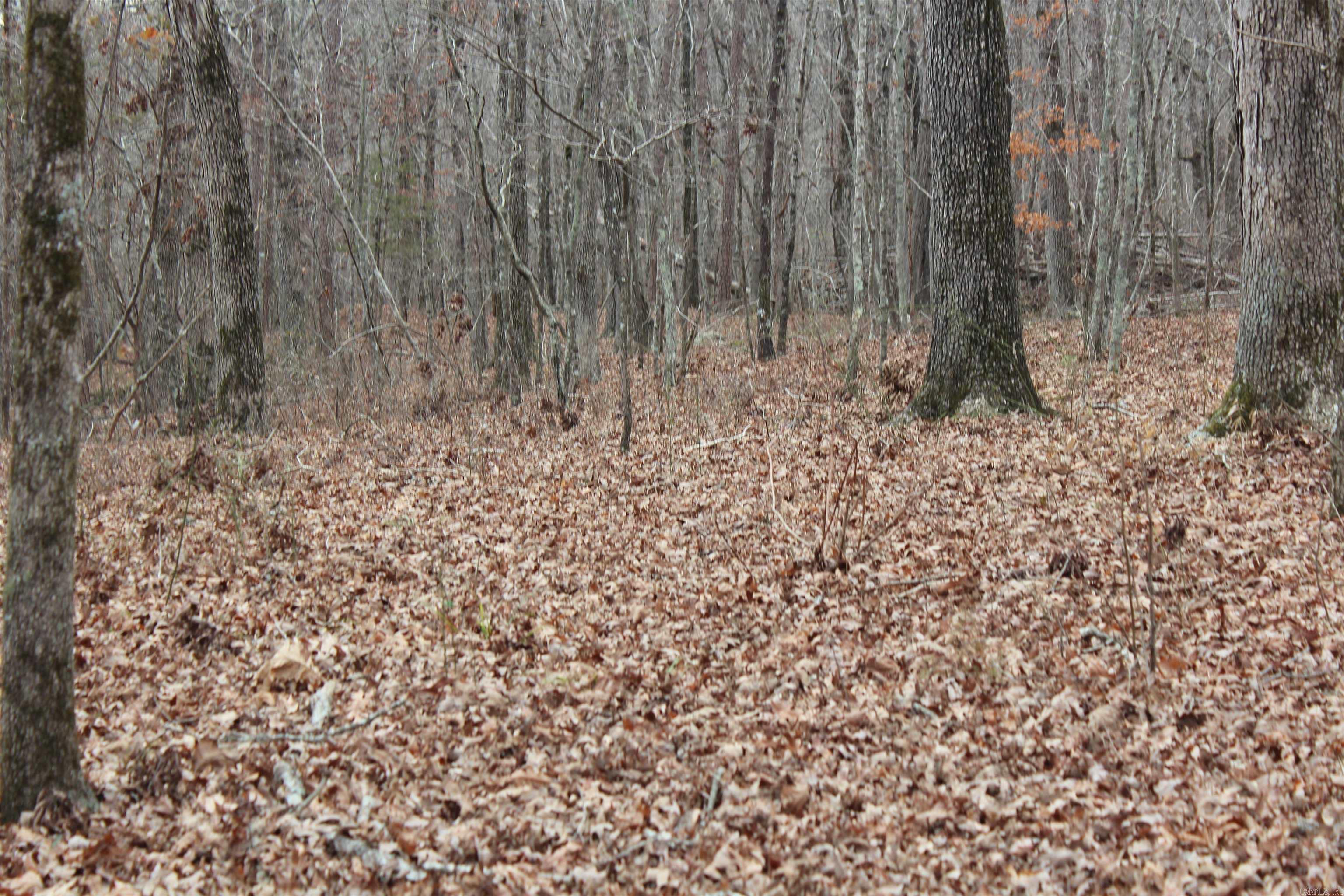 Not in Subdivision - Land