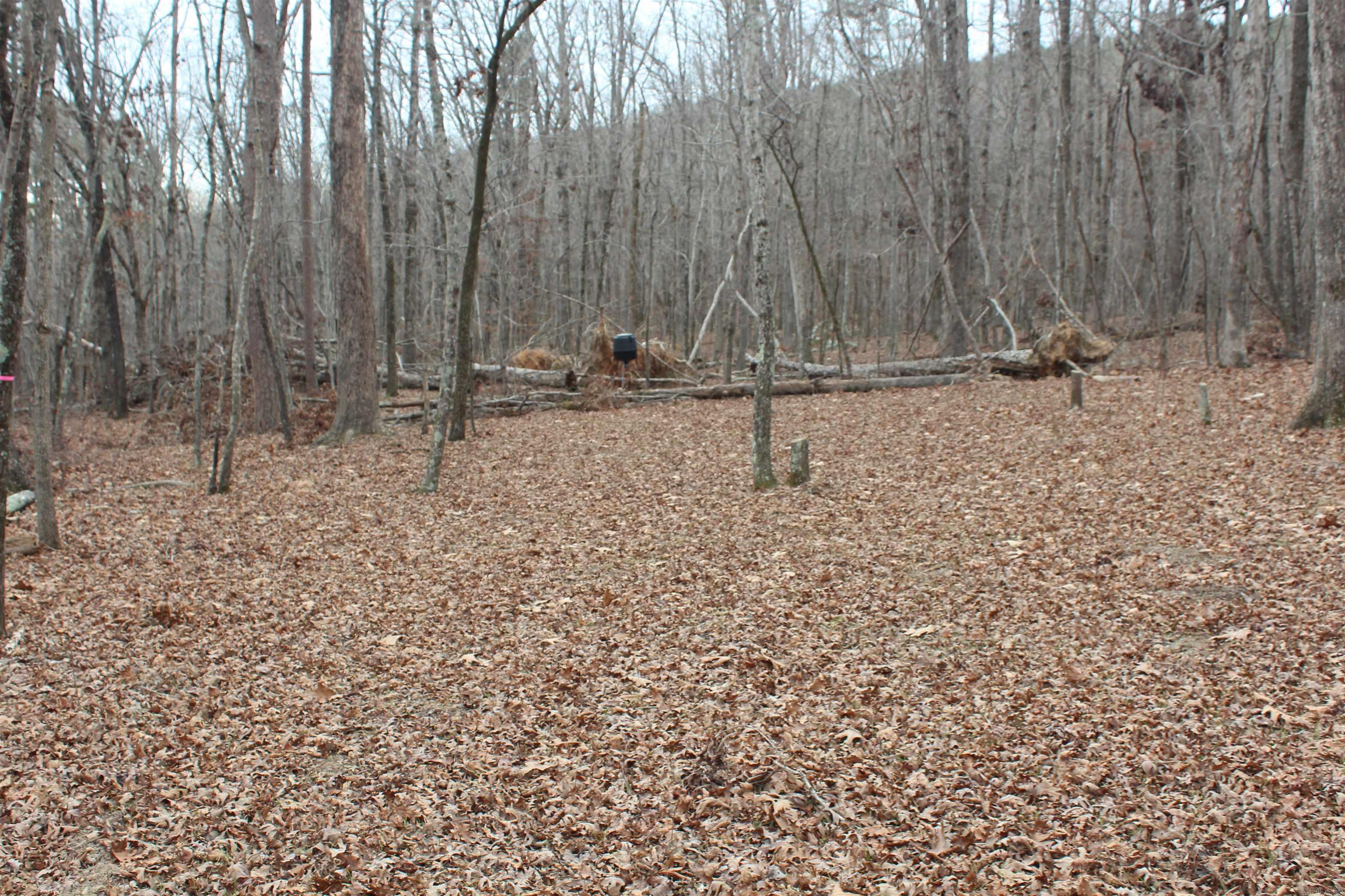 Not in Subdivision - Land