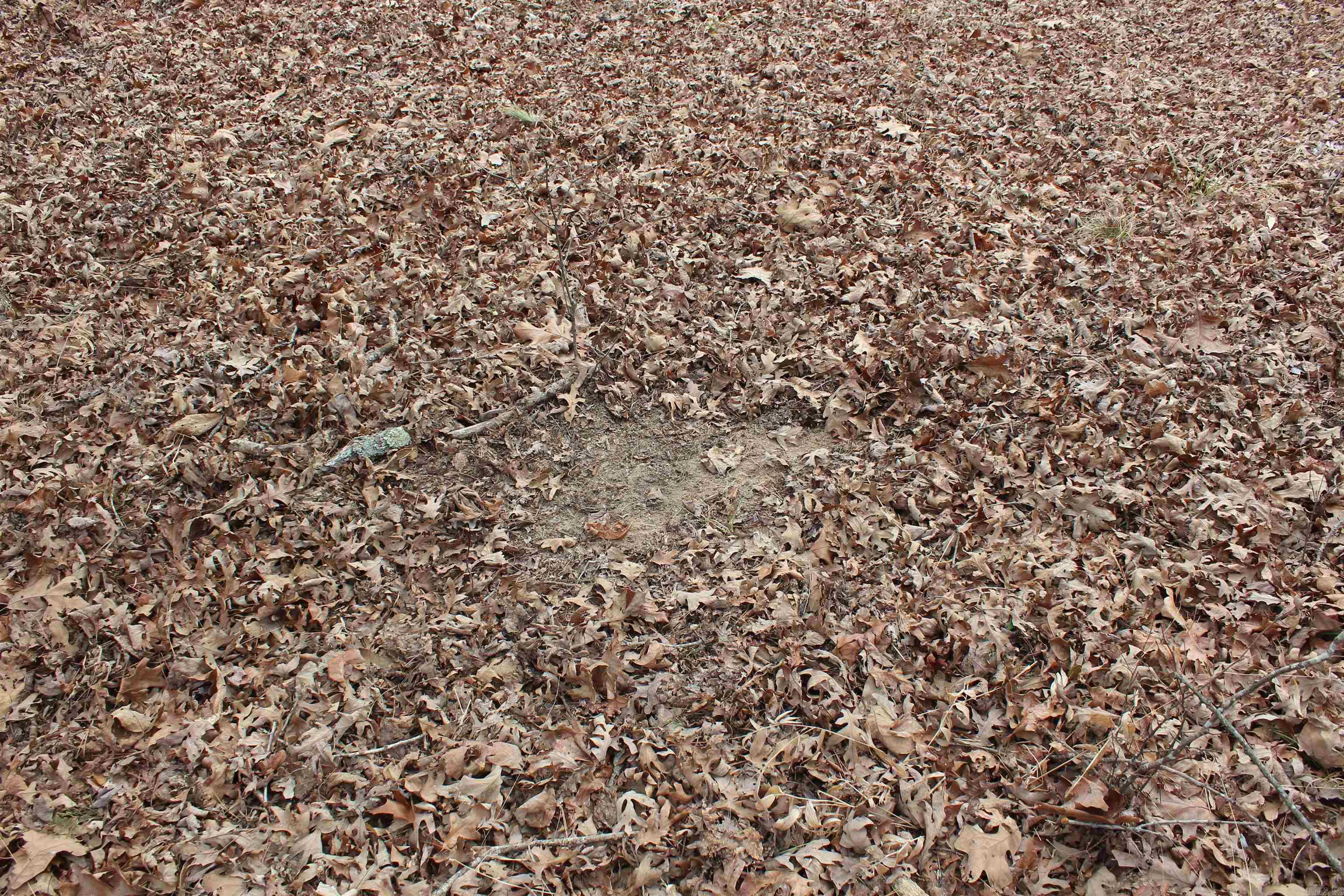 Not in Subdivision - Land