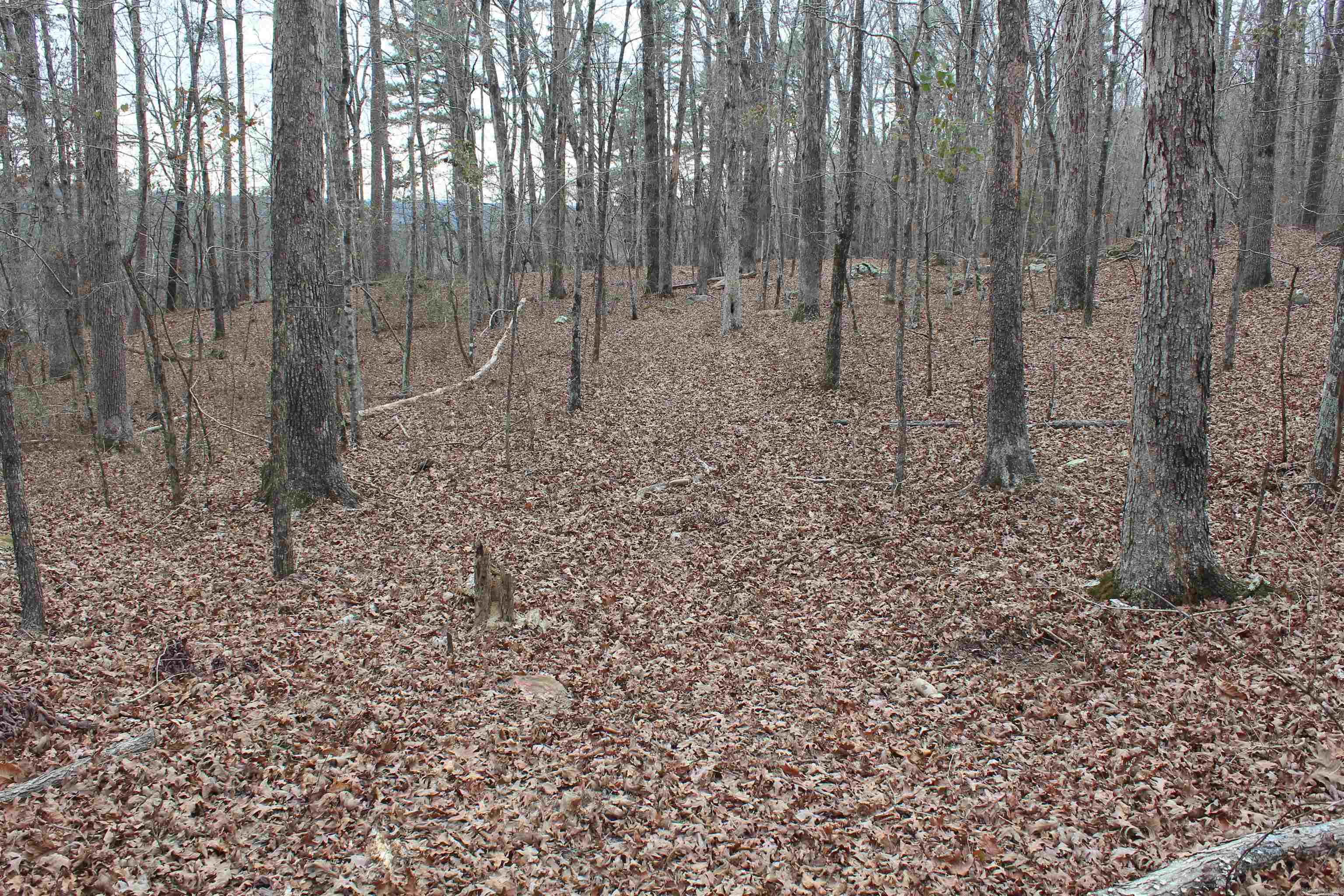 Not in Subdivision - Land