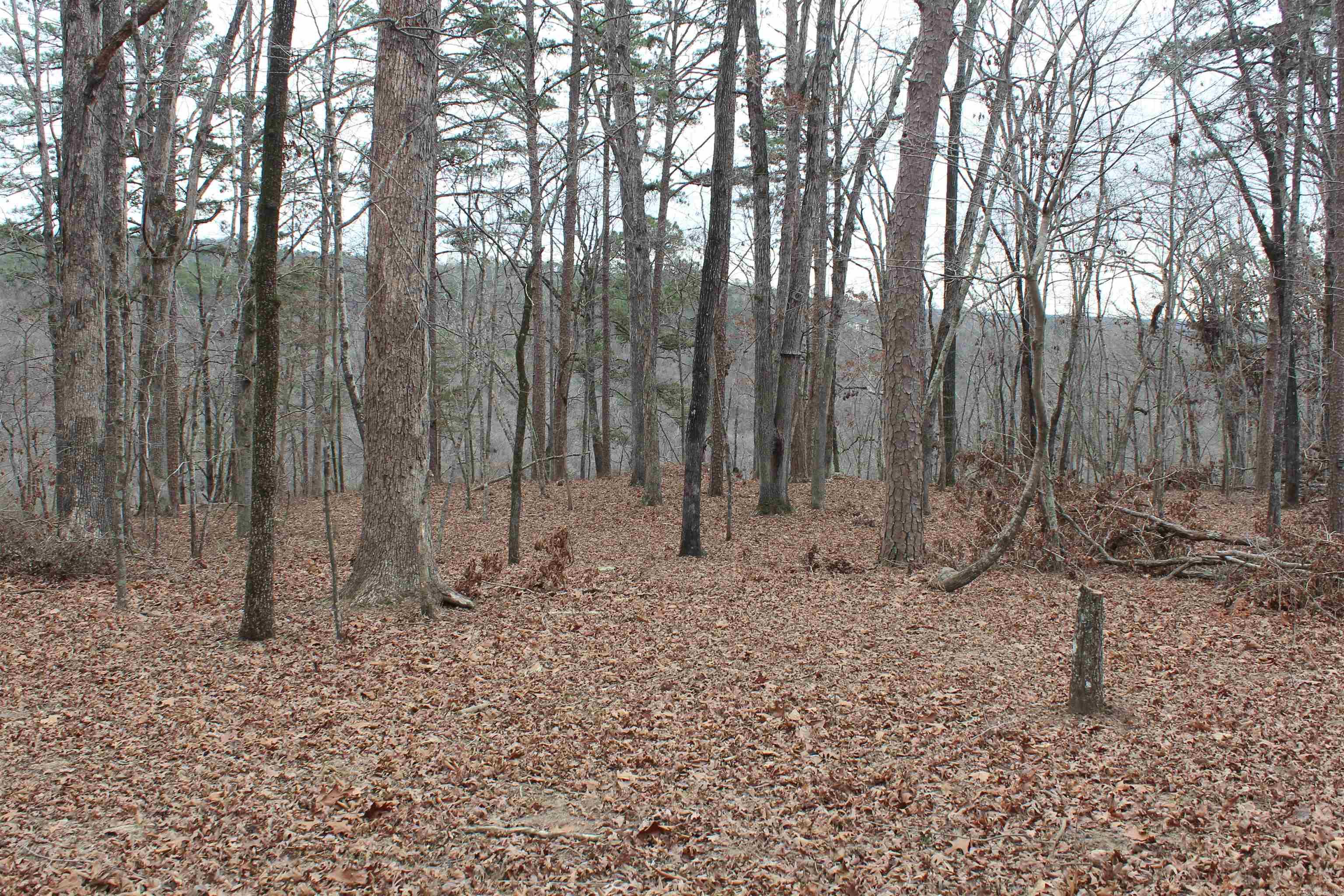 Not in Subdivision - Land