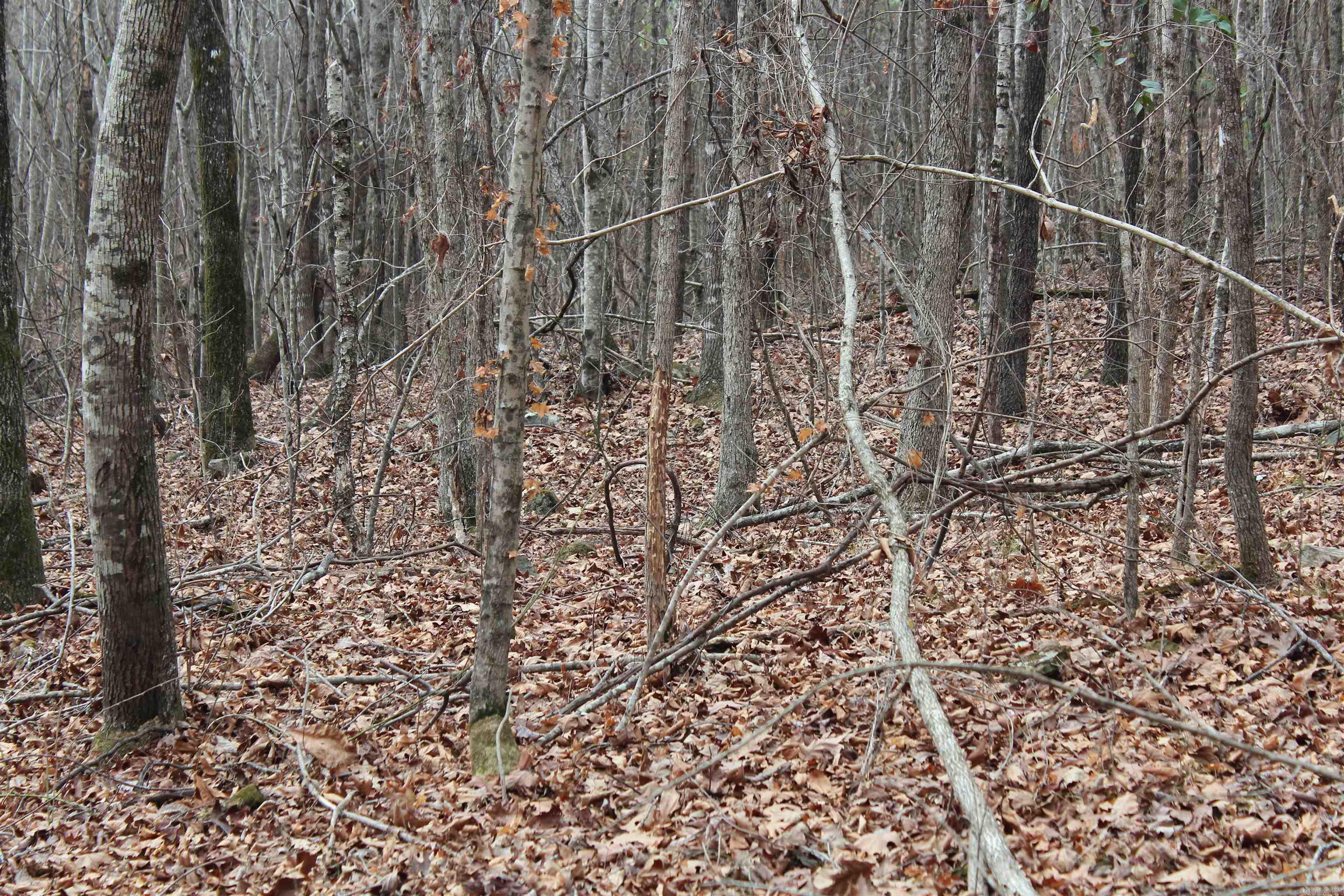 Not in Subdivision - Land