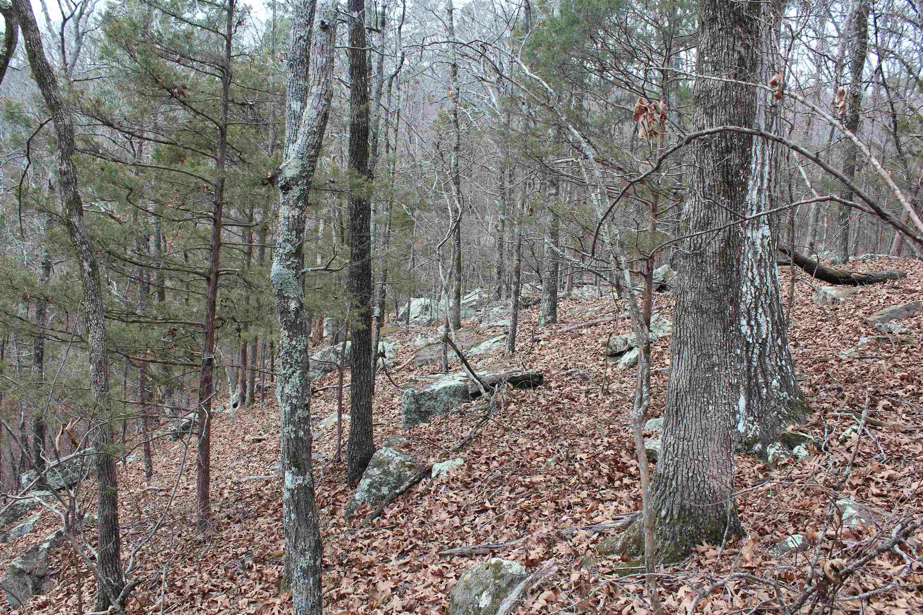 Not in Subdivision - Land