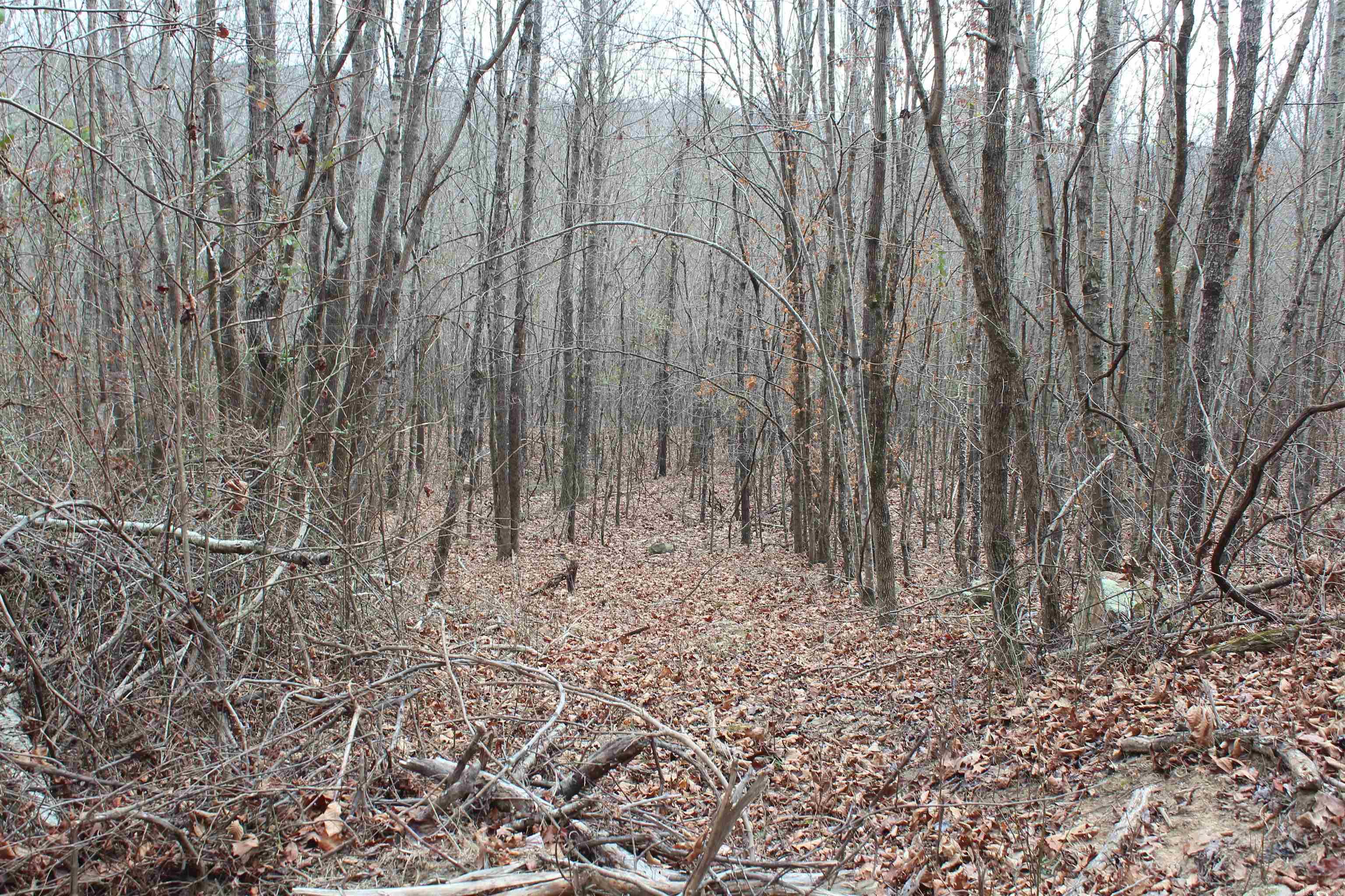 Not in Subdivision - Land