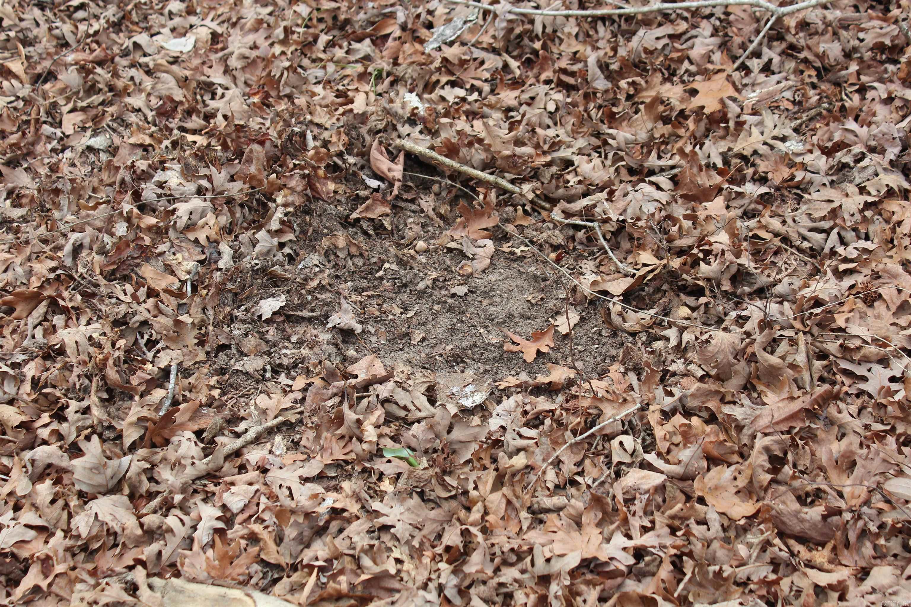 Not in Subdivision - Land