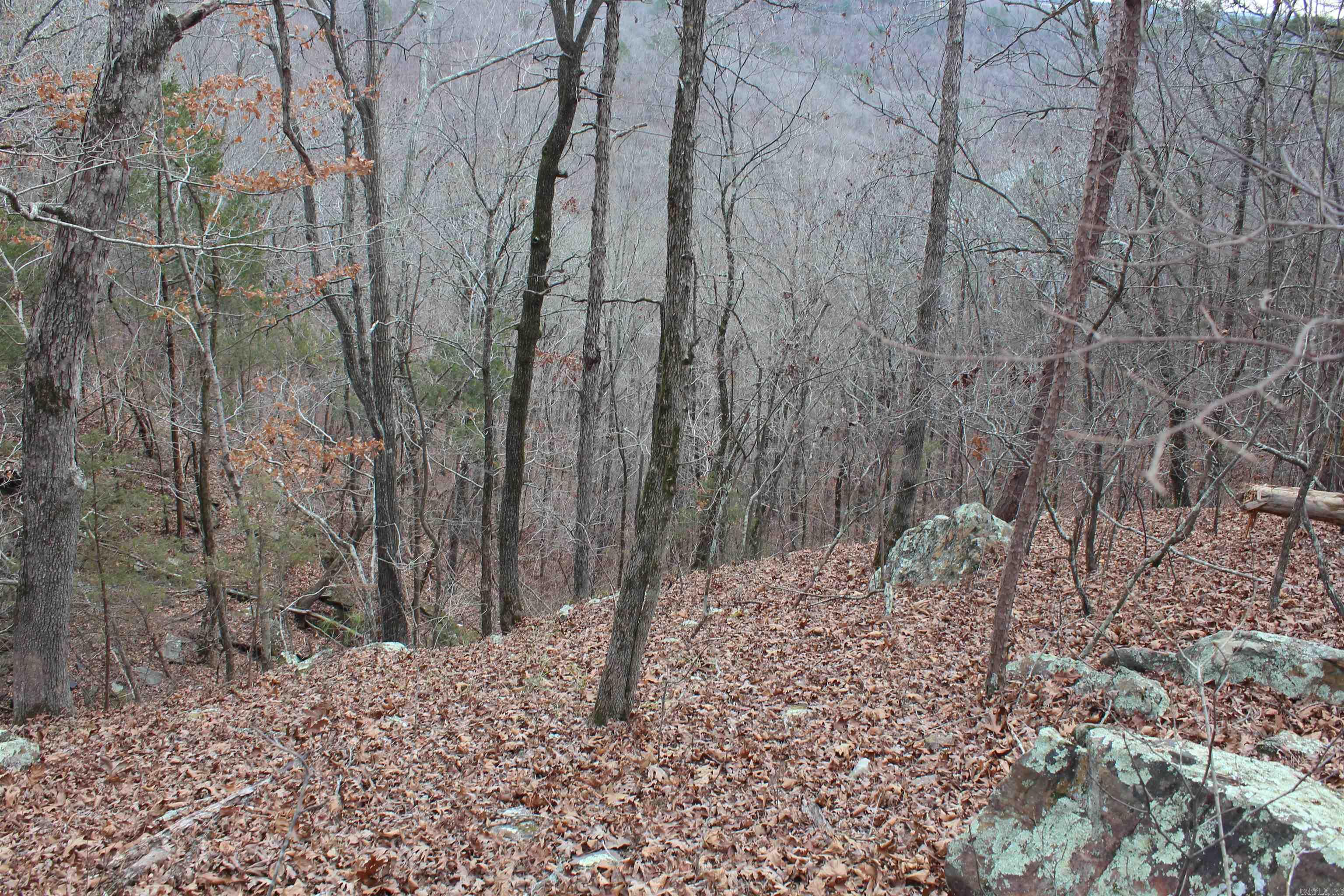 Not in Subdivision - Land