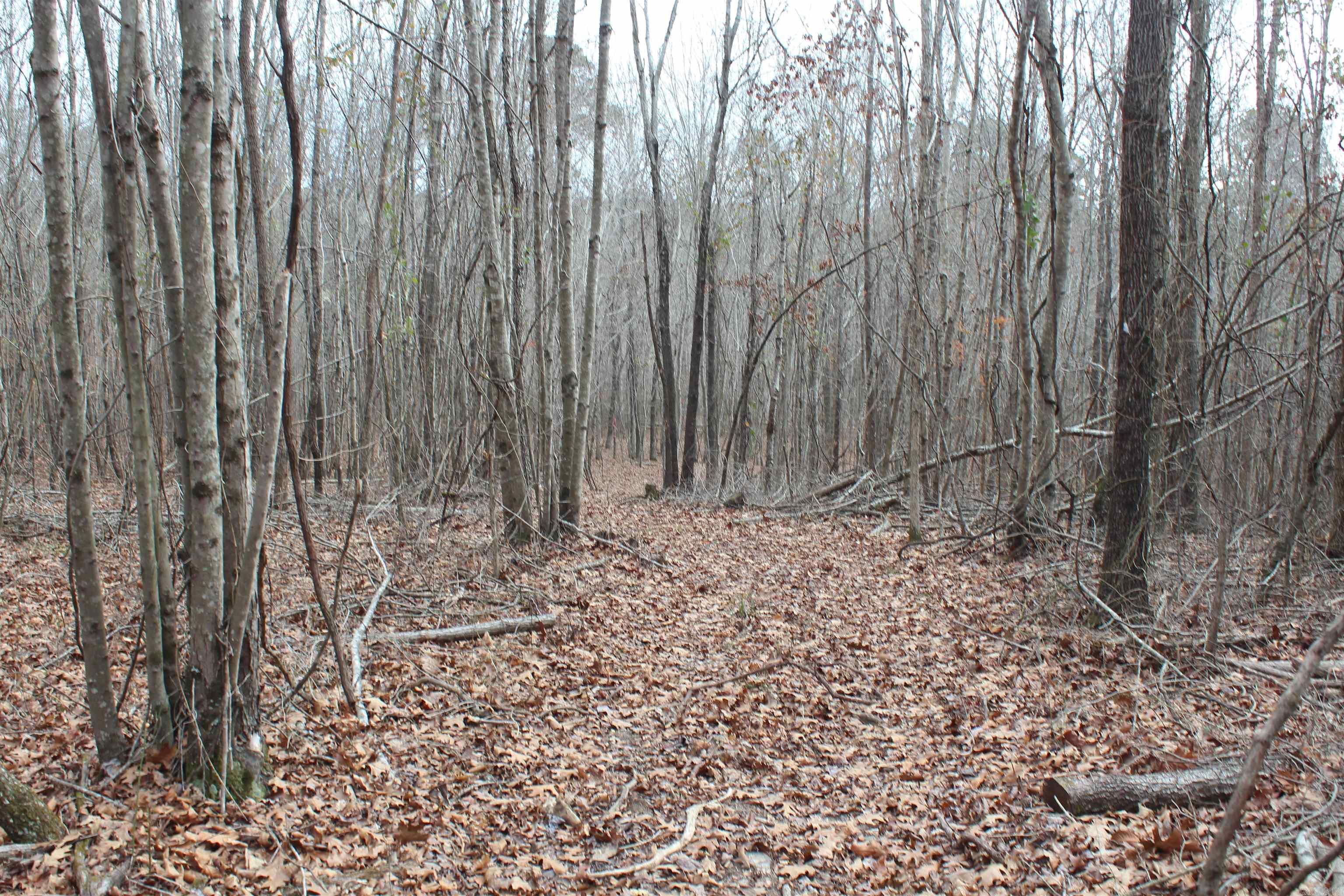 Not in Subdivision - Land