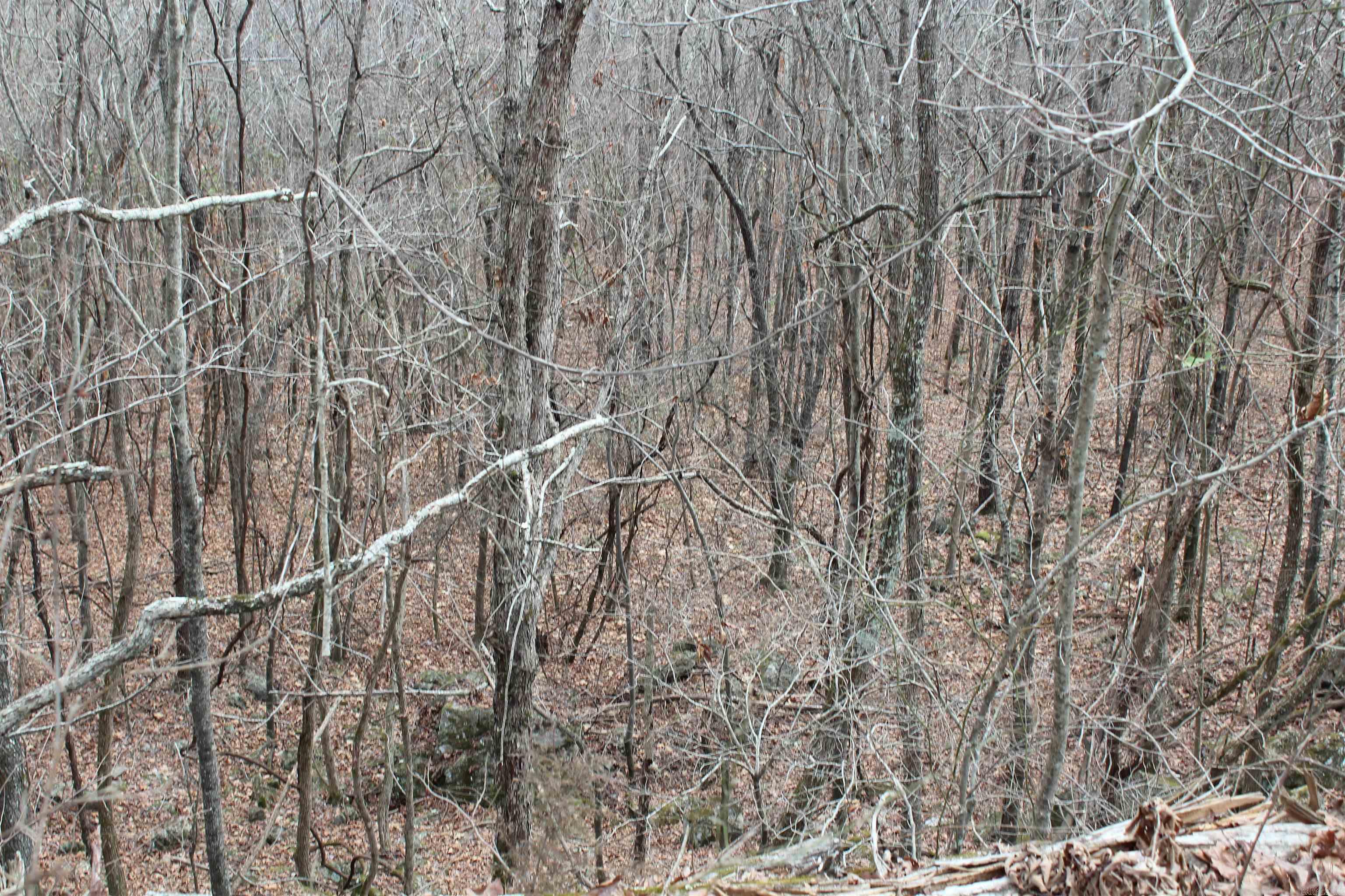 Not in Subdivision - Land