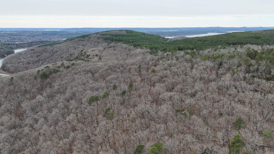 Rugged Beauty on the North Shore of Greers Ferry Lake  Nestled alongside Hill Creek and Greers Ferry Lake WMA is 115+/- acres of beautiful hardwood and pine timber. Great for hunting or hiking. With several exposed rock faces, shallow caves and overlooks that are breathtaking. A power line right of way bisects the northern part of the property allowing for clear views of the ridge top to the east.  Two potential build sites on the southern part of the property that can be accessed by a road along the southwest edge of the property. Two trails lead off the road to gorgeous open timber with rock outcroppings that overlook Hill Creek below.  Multiple whitetail rubs and scrapes can be seen throughout the entirety of the property. With an abundant supply of Whiteoak acorns, The Turkey population thrives. Great access from Old Brewer Road, with electric along the road. This is a must see to appreciate property.