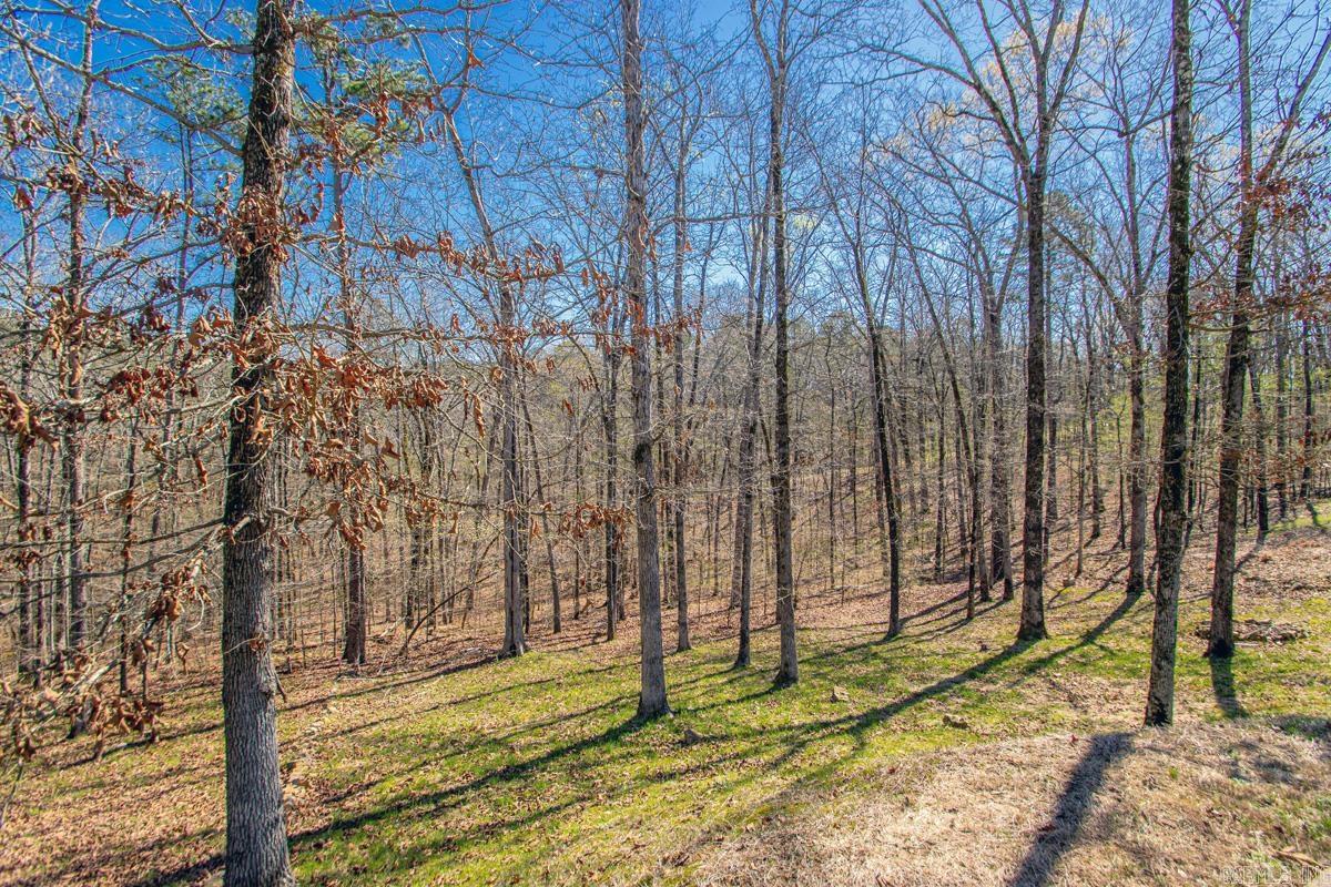 DIAMONDHEAD - Residential