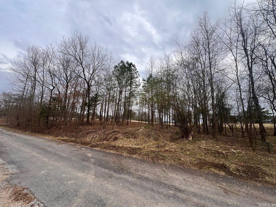 Wonderful double lot right on the golf course! All utilities and comes with the great amenities Diamondhead offers! Golf course, tennis courts, community pool, walking trails, clubhouse and so much more! Minutes from Lake Catherine State Park.