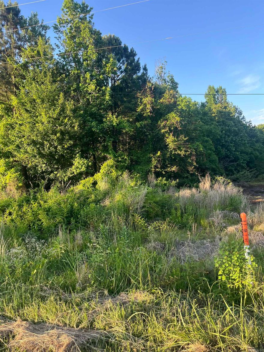 Ready to invest in your next opportunity?  Or thinking about building a property to turn into a rental?  Let’s go walk some of these lots together and create a plan that fits your goals!