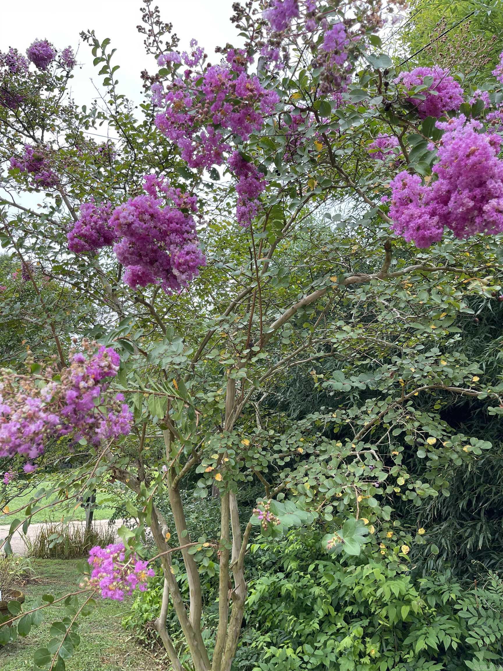 EAST EDGEWOOD ADDN 1 - Residential