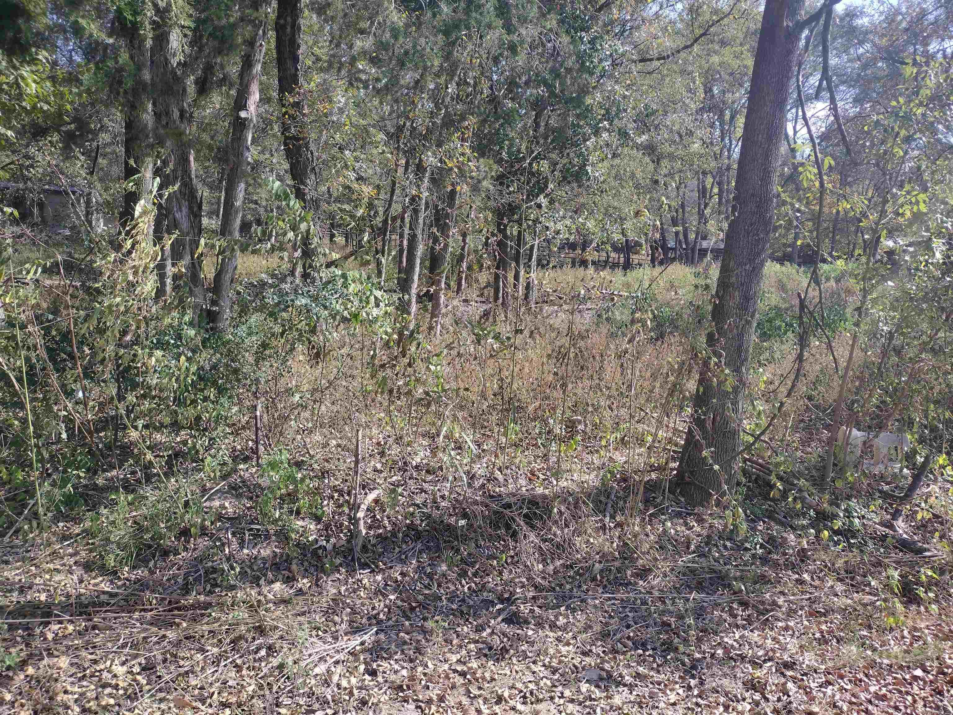 Own a Part of History with this lot in sylamore AR. Build a home or cabin close to White River and Railroad track so you can watch the train go by. Only 10 Minutes to Mtn View
