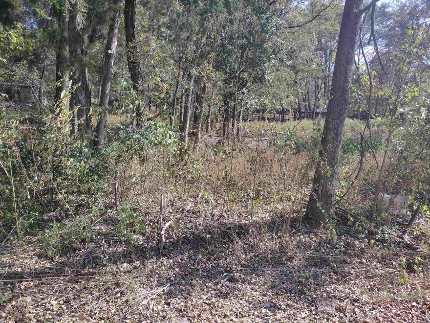 Own a Part of History with this lot in sylamore AR. Build a home or cabin   close to White River and Railroad track so you can watch the train go by. Only 10 Minutes to Mtn View