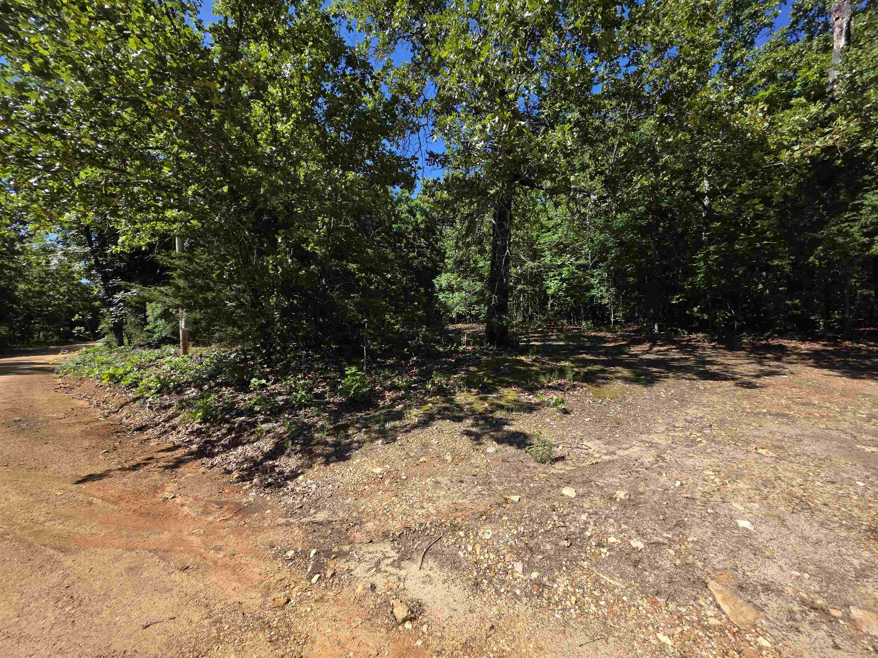 REEDS BLUFF - Land