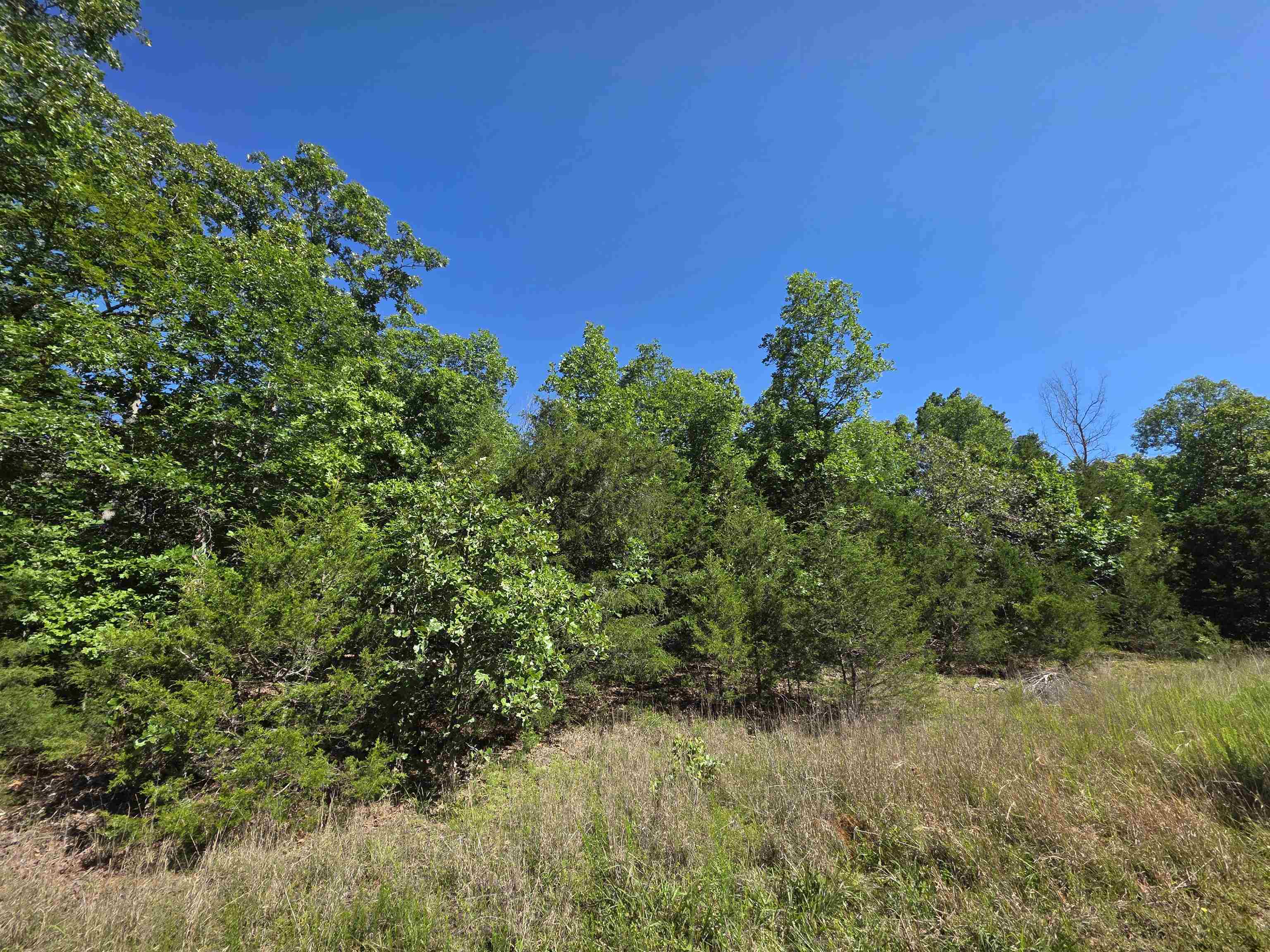 REEDS BLUFF - Land