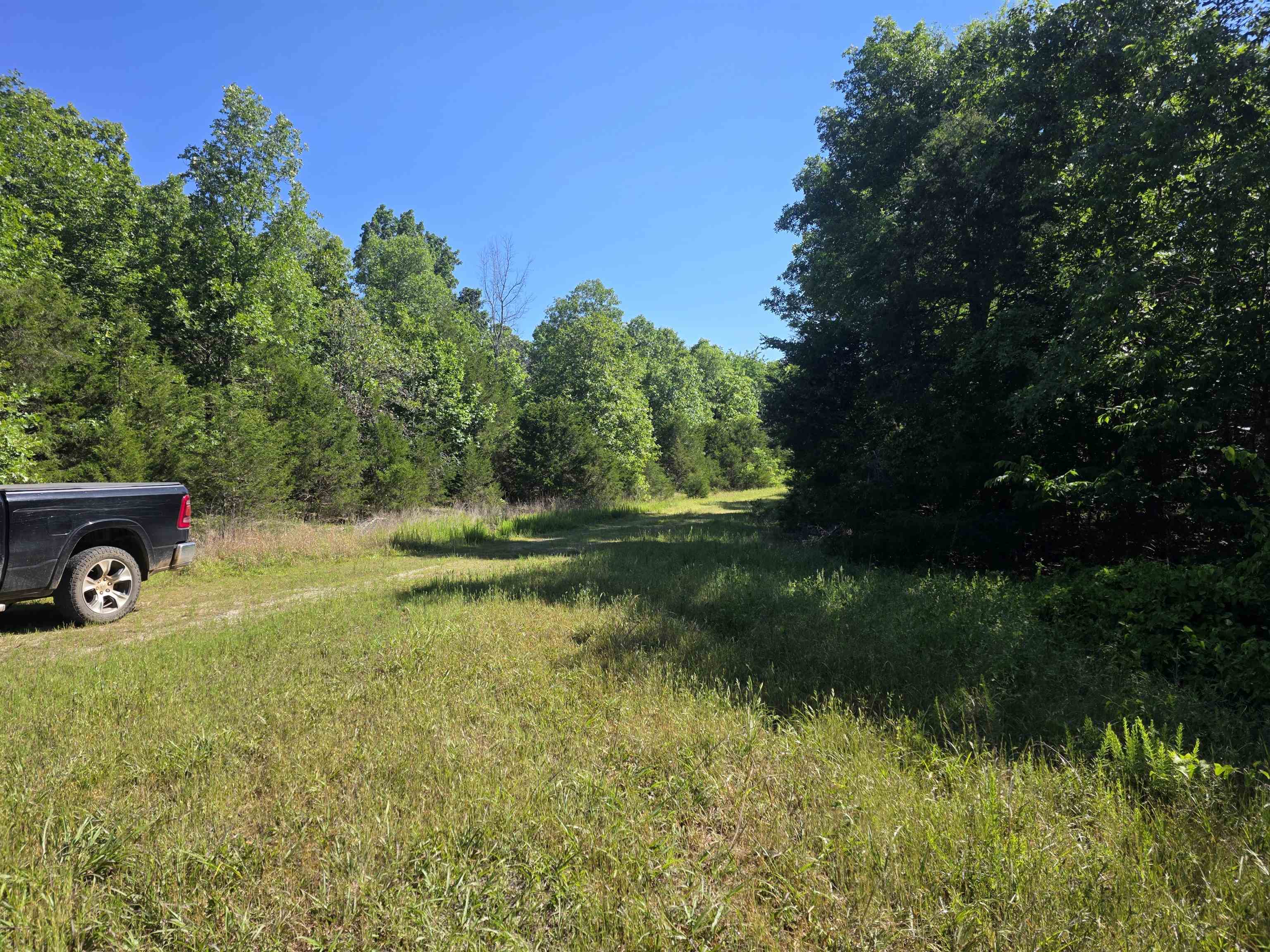 REEDS BLUFF - Land